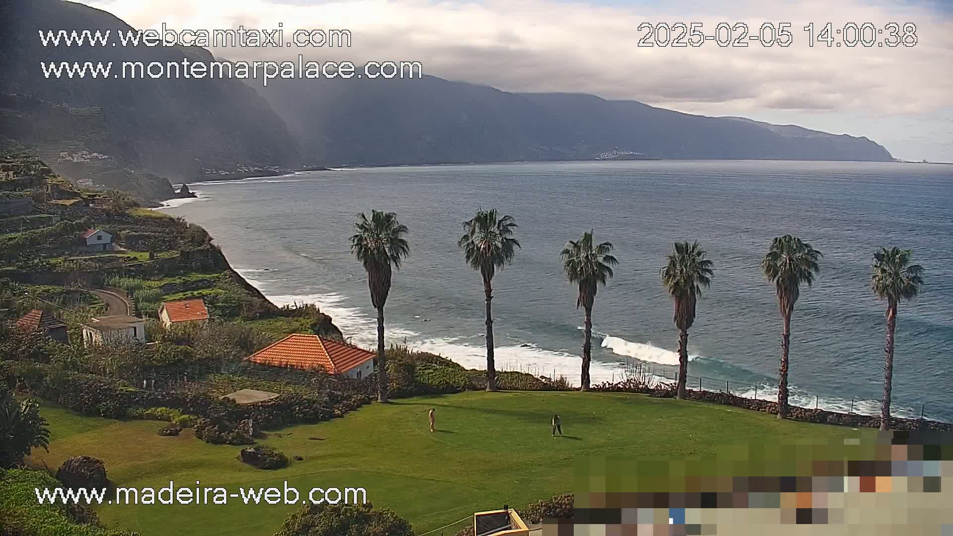 A coastal scene on a partly cloudy day shows a grassy area with palm trees overlooking a rocky coastline and ocean waves.