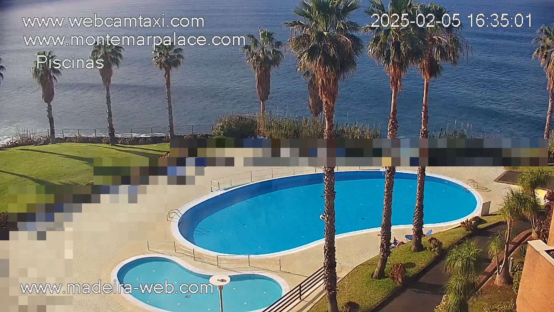 An outdoor kidney-shaped swimming pool and a smaller adjacent pool are surrounded by palm trees and grass overlooking a calm ocean on a sunny day.