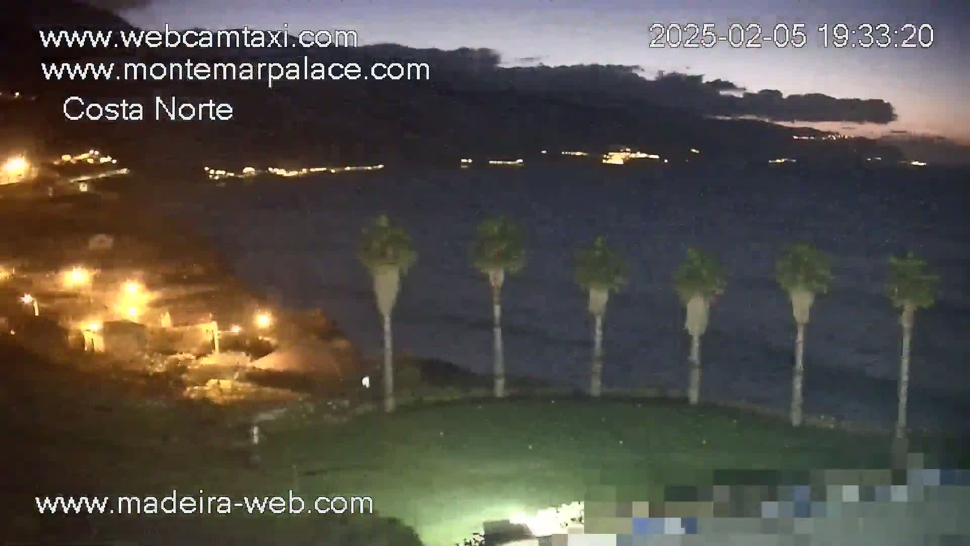 A nighttime coastal scene shows a dark ocean with distant lights, several palm trees in the foreground, and a grassy area with some buildings visible behind the trees under a partly cloudy sky.