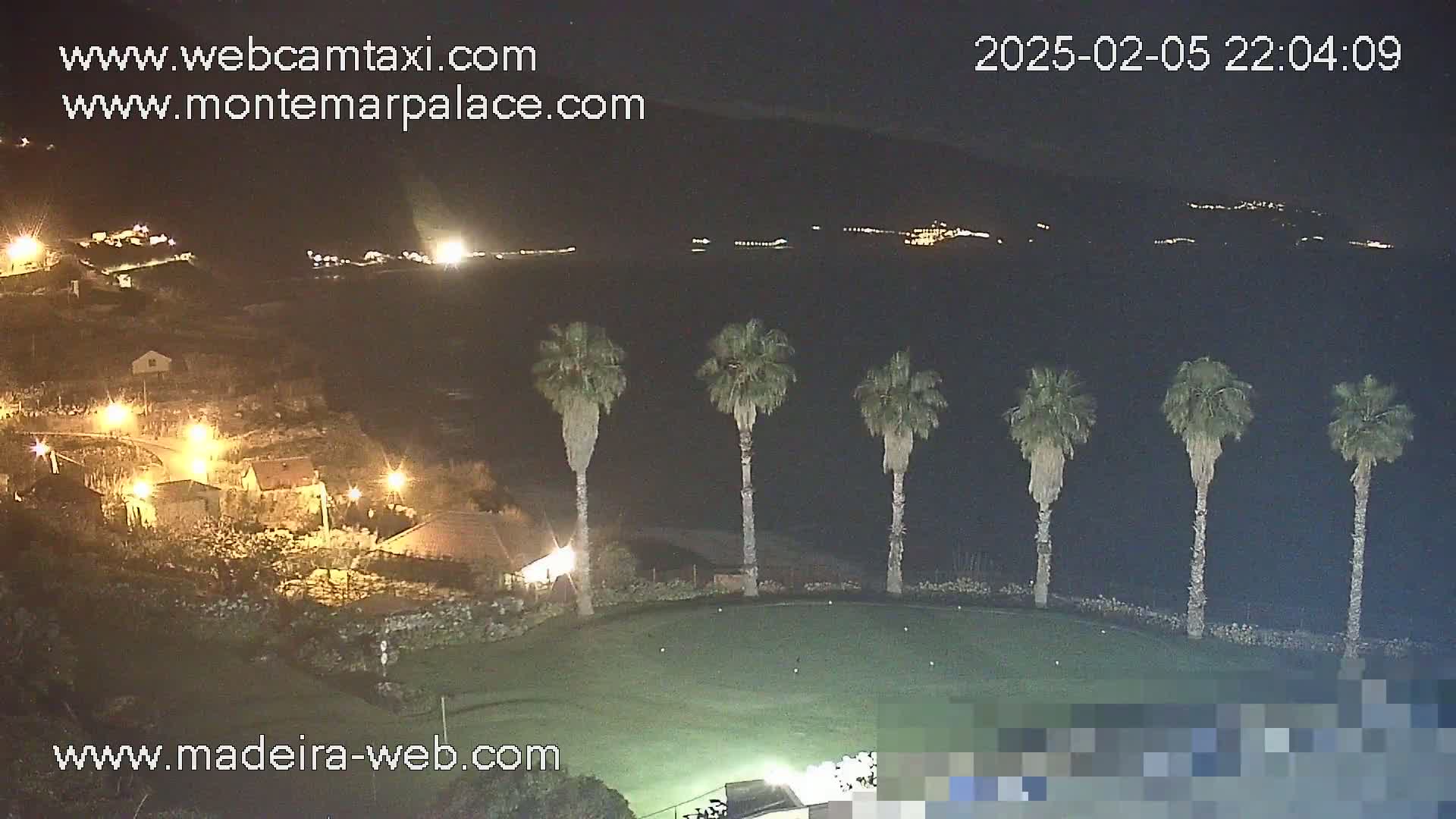 A nighttime view of a grassy area with several palm trees, overlooking a dark body of water with distant lights on the opposite shore.