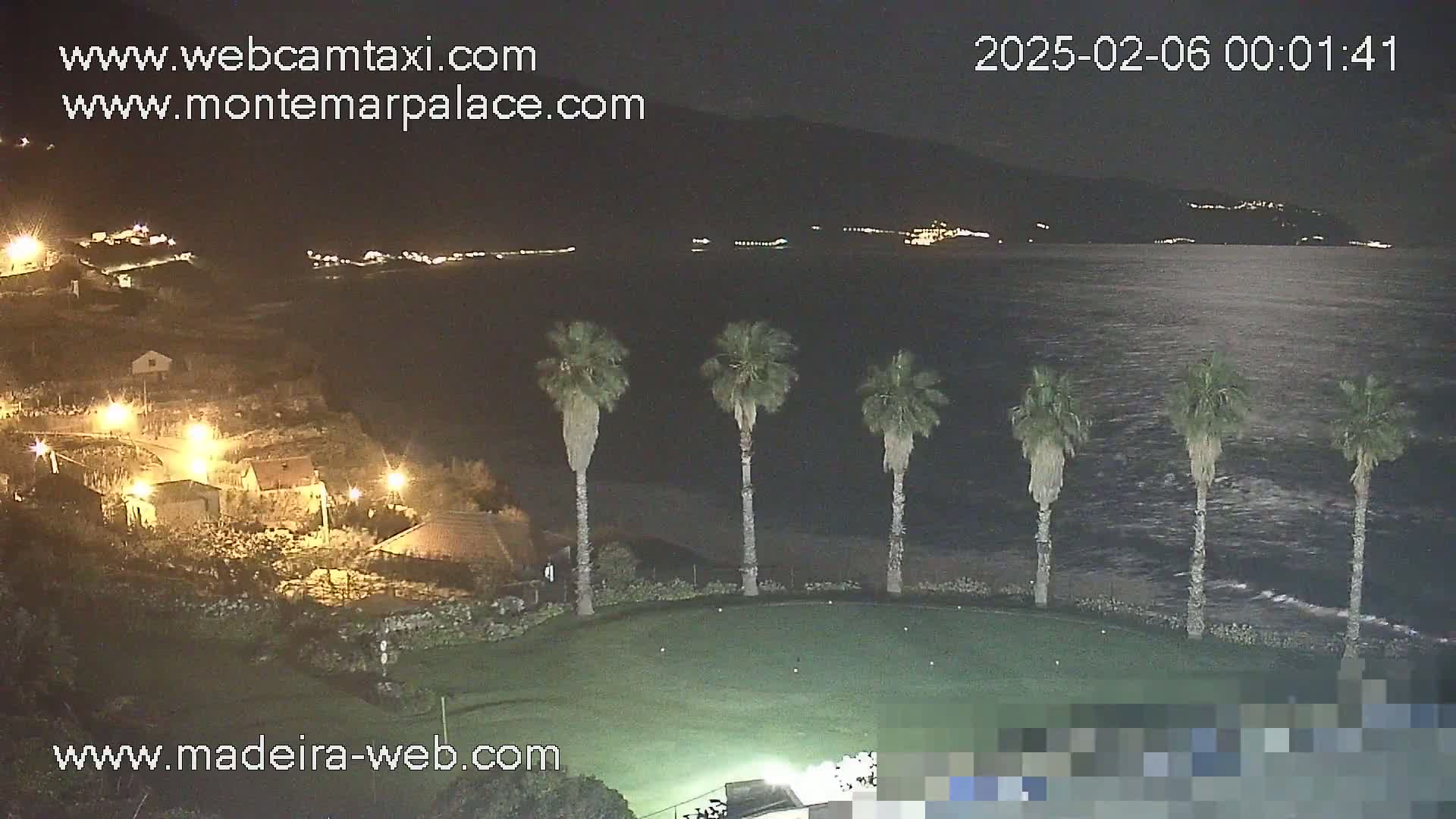 A nighttime view of a coastline with palm trees on a grassy area overlooking a dark body of water, with dimly lit buildings and houses visible in the distance.