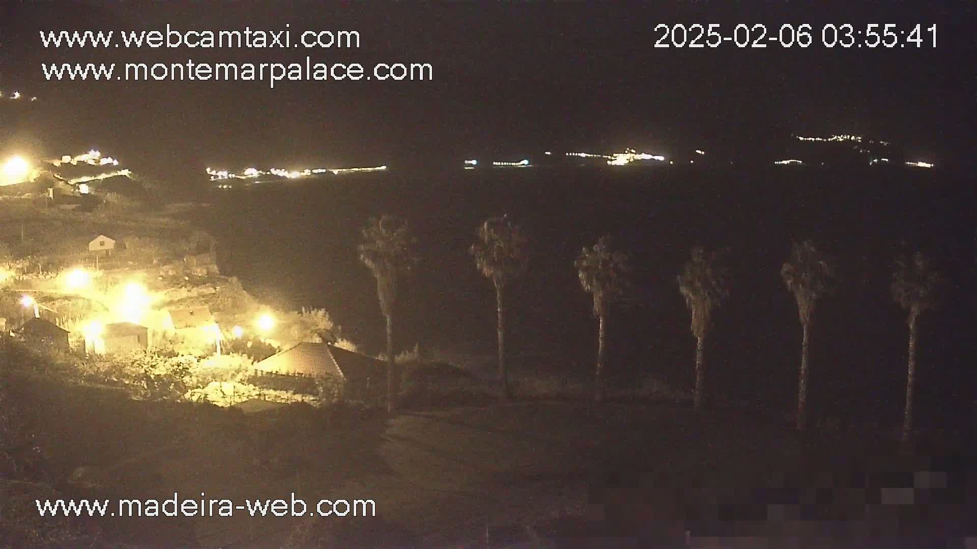 A nighttime view of a coastal town with palm trees in the foreground and lights illuminating buildings and the dark ocean in the background.