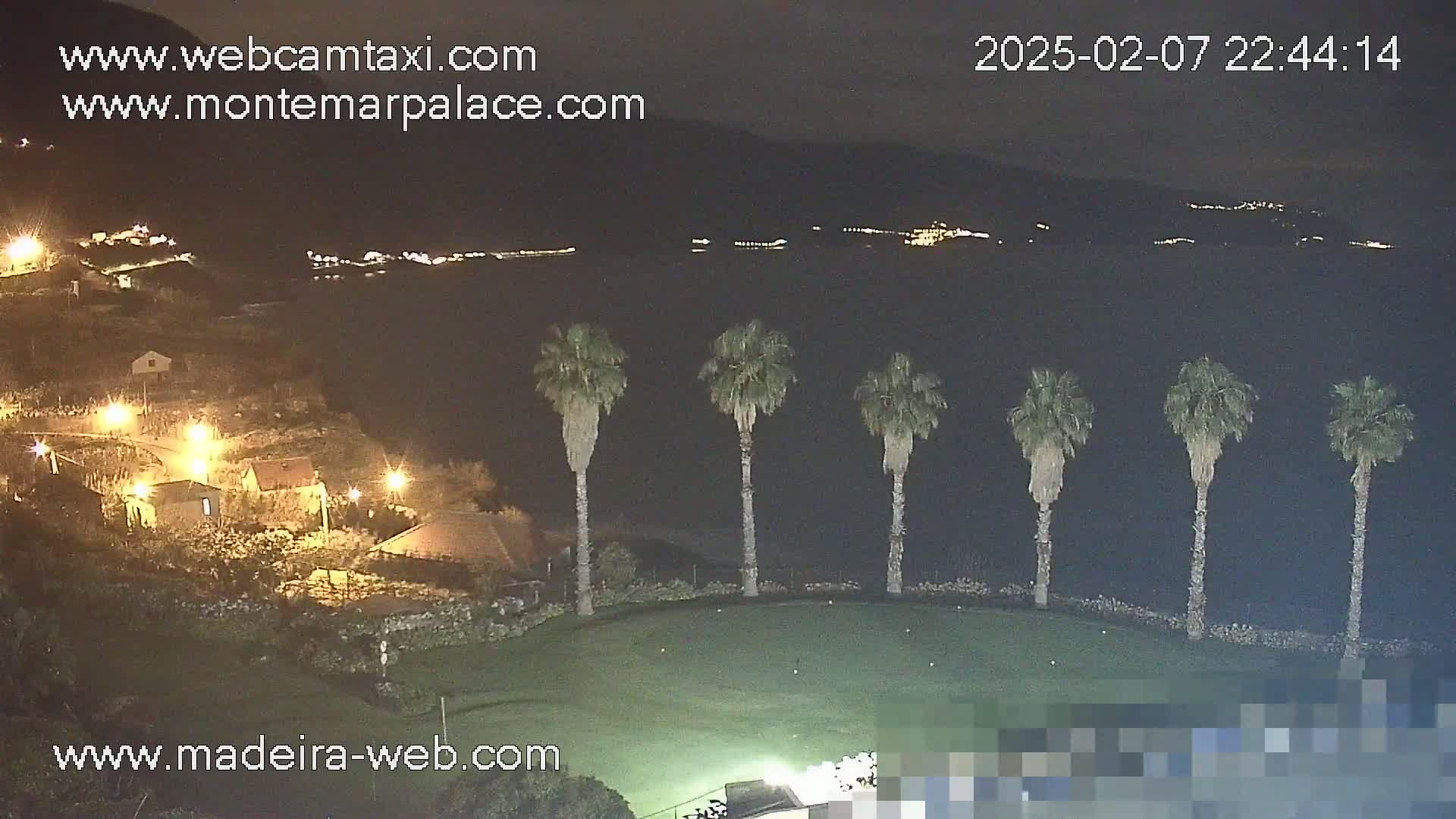 A nighttime view of a coastal area shows a grassy area with several palm trees, a few illuminated buildings, and a dark body of water with lights visible in the distance.