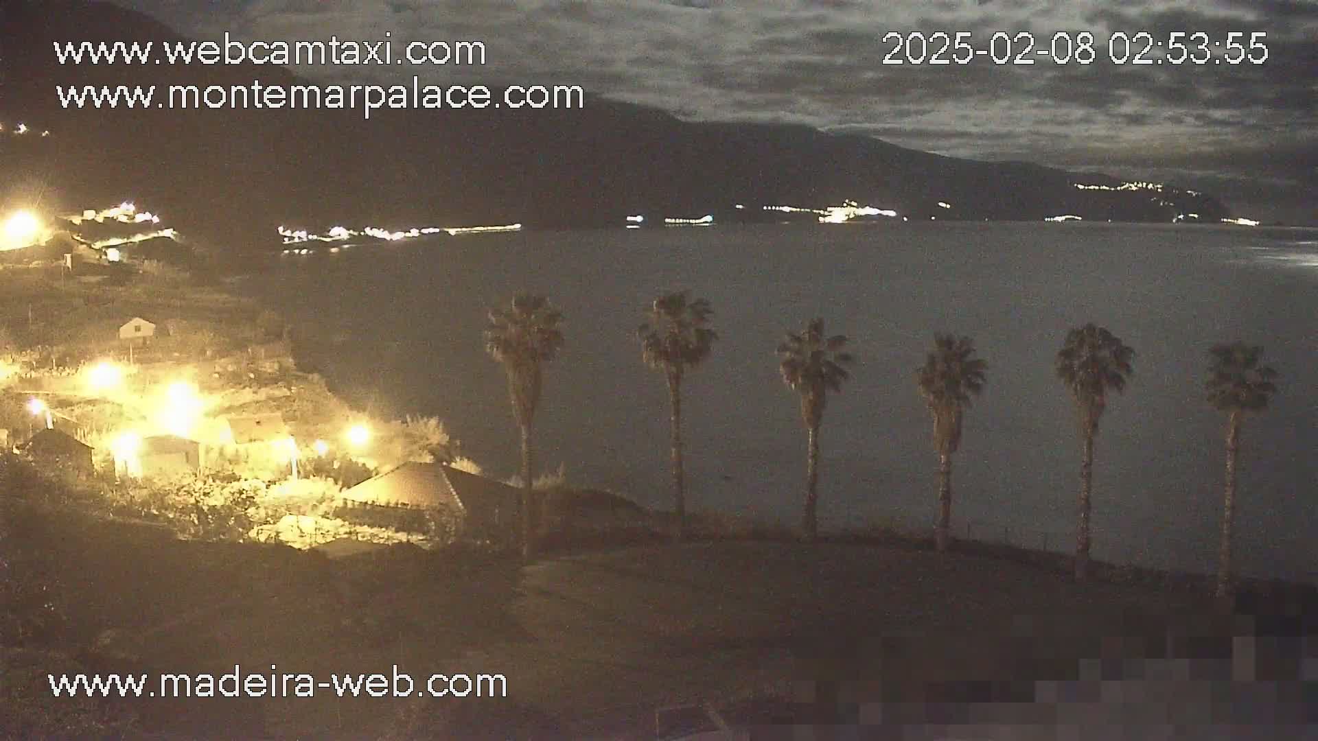 A nighttime view of a calm body of water, with palm trees in the foreground and dimly lit buildings and mountains in the background under a cloudy sky.
