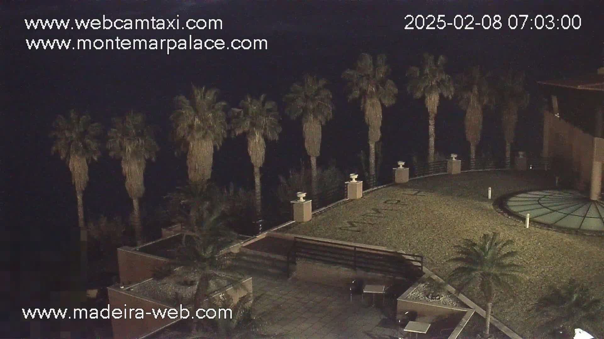 A nighttime view of a palm tree-lined patio area, possibly at a resort, under a dark sky.