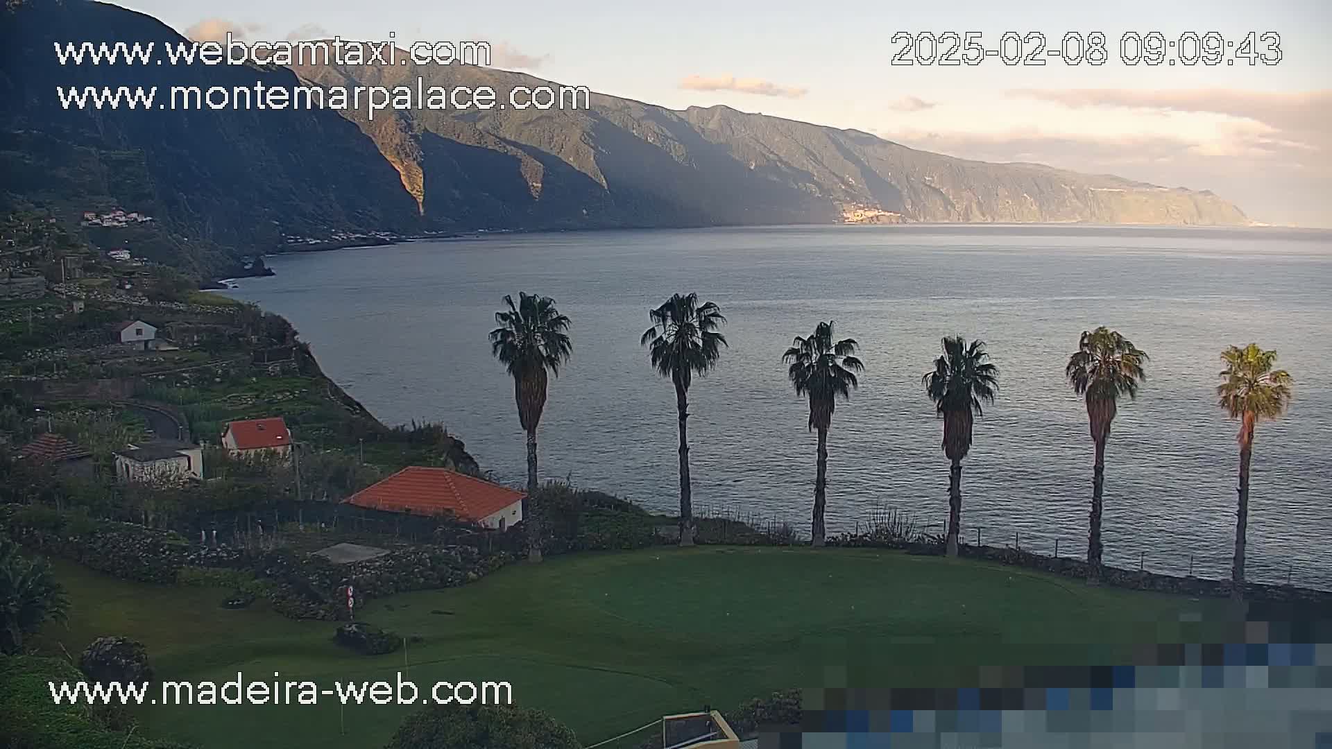 A coastal view shows calm water, a dark-colored mountain range in the distance, several palm trees on a grassy area in the foreground, and a few houses on a hillside overlooking the sea under a partly cloudy sky.