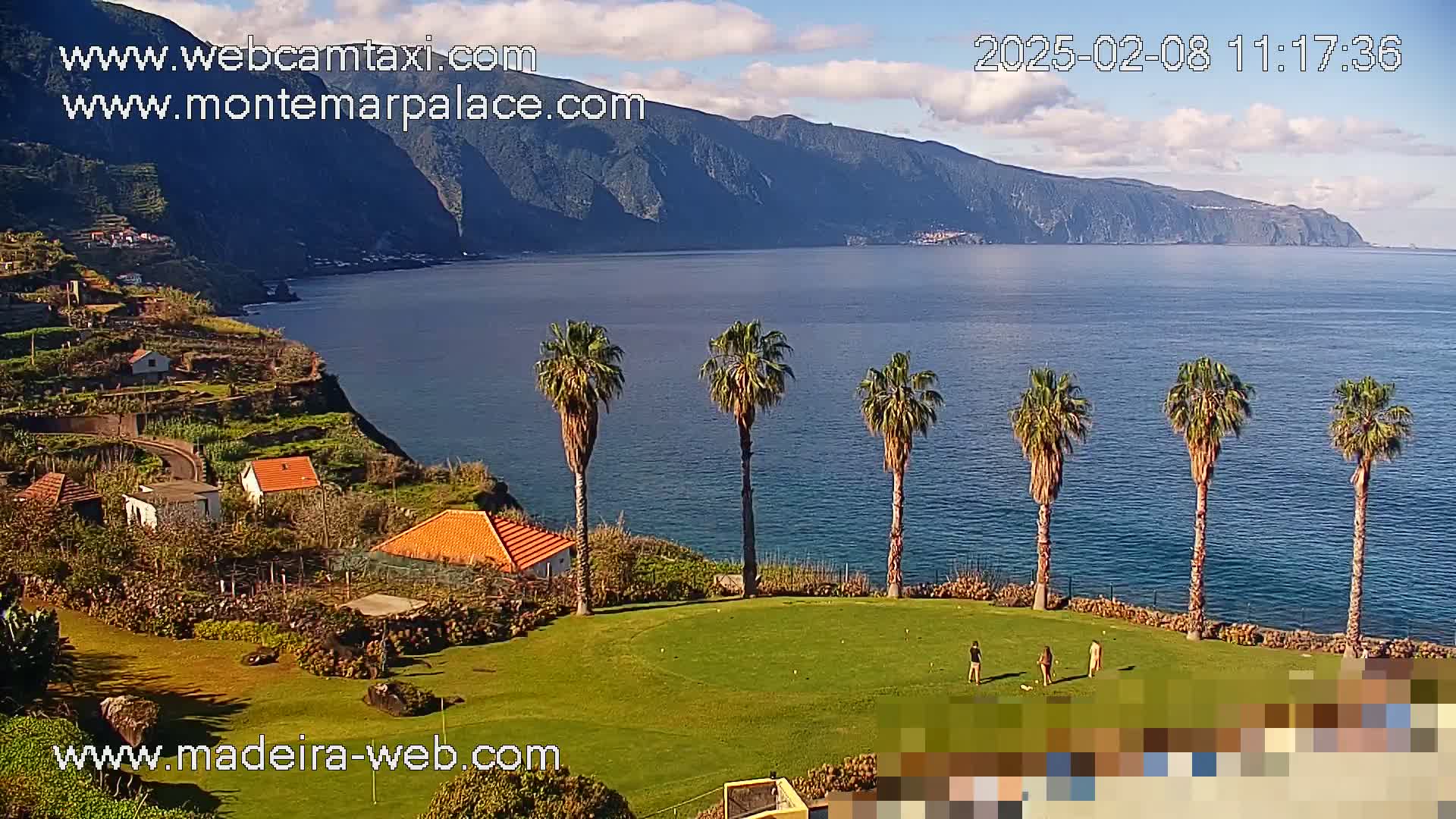 A grassy area with palm trees overlooks a calm ocean and a mountainous coastline under partly cloudy skies.