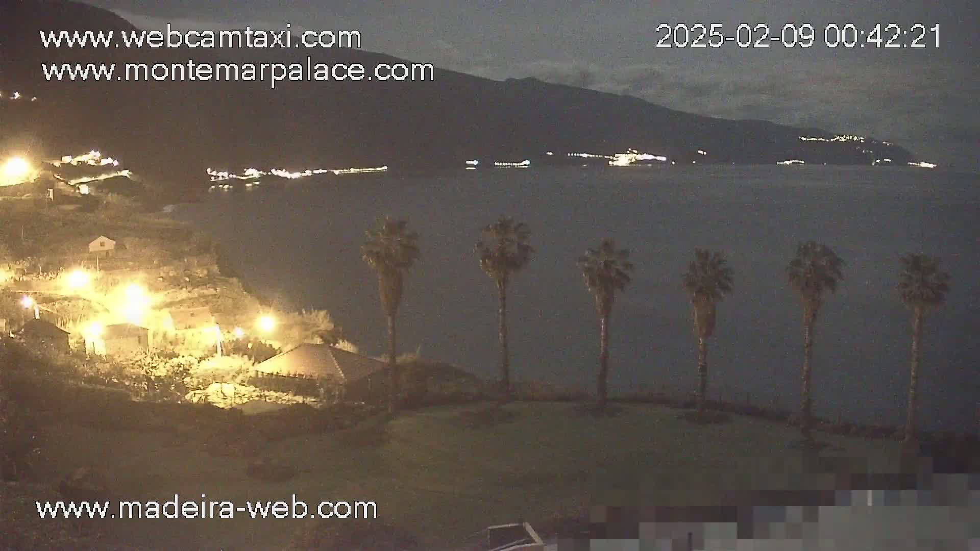 A nighttime coastal scene shows a dark body of water, distant lights on hillsides, and several palm trees silhouetted against a dark sky in the foreground.