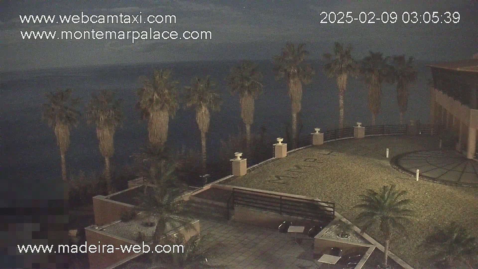 A nighttime view of a resort overlooking a dark ocean, featuring palm trees lining a patio area with gravel and low lighting.