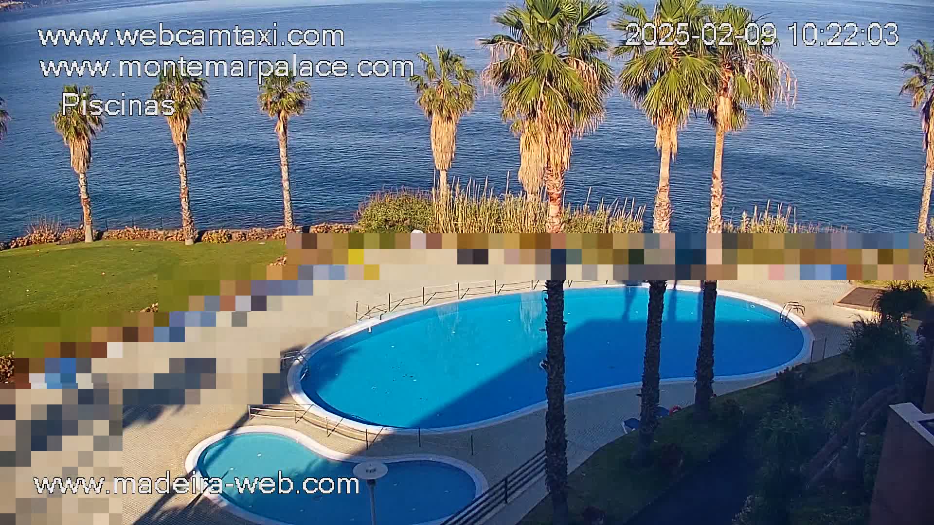 An overhead view of a kidney-shaped swimming pool and a smaller adjacent pool surrounded by palm trees and overlooking a calm ocean on a sunny day.