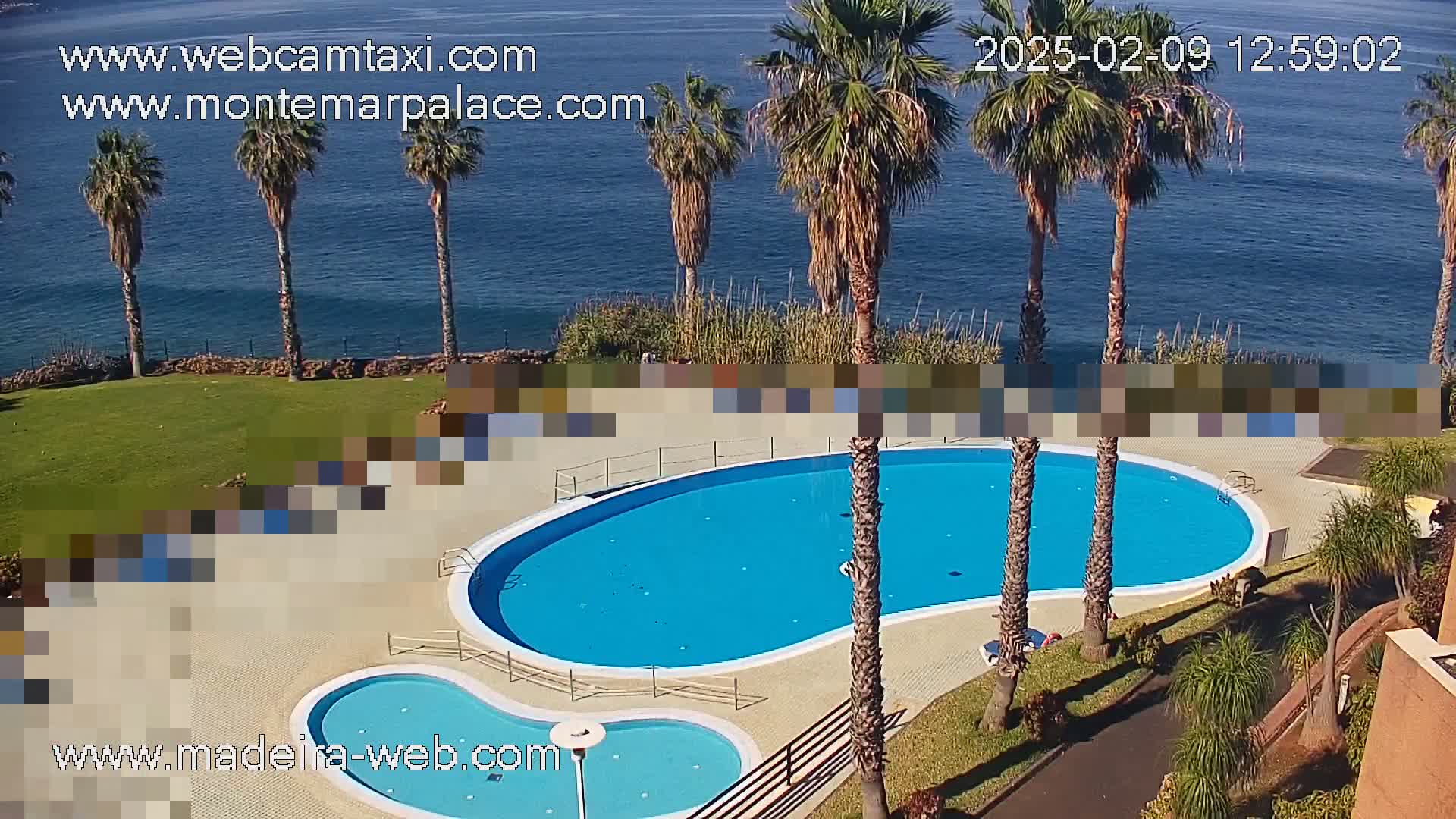 An outdoor kidney-shaped swimming pool and a smaller adjacent pool are situated on a grassy area next to a calm ocean, surrounded by palm trees on a sunny day.