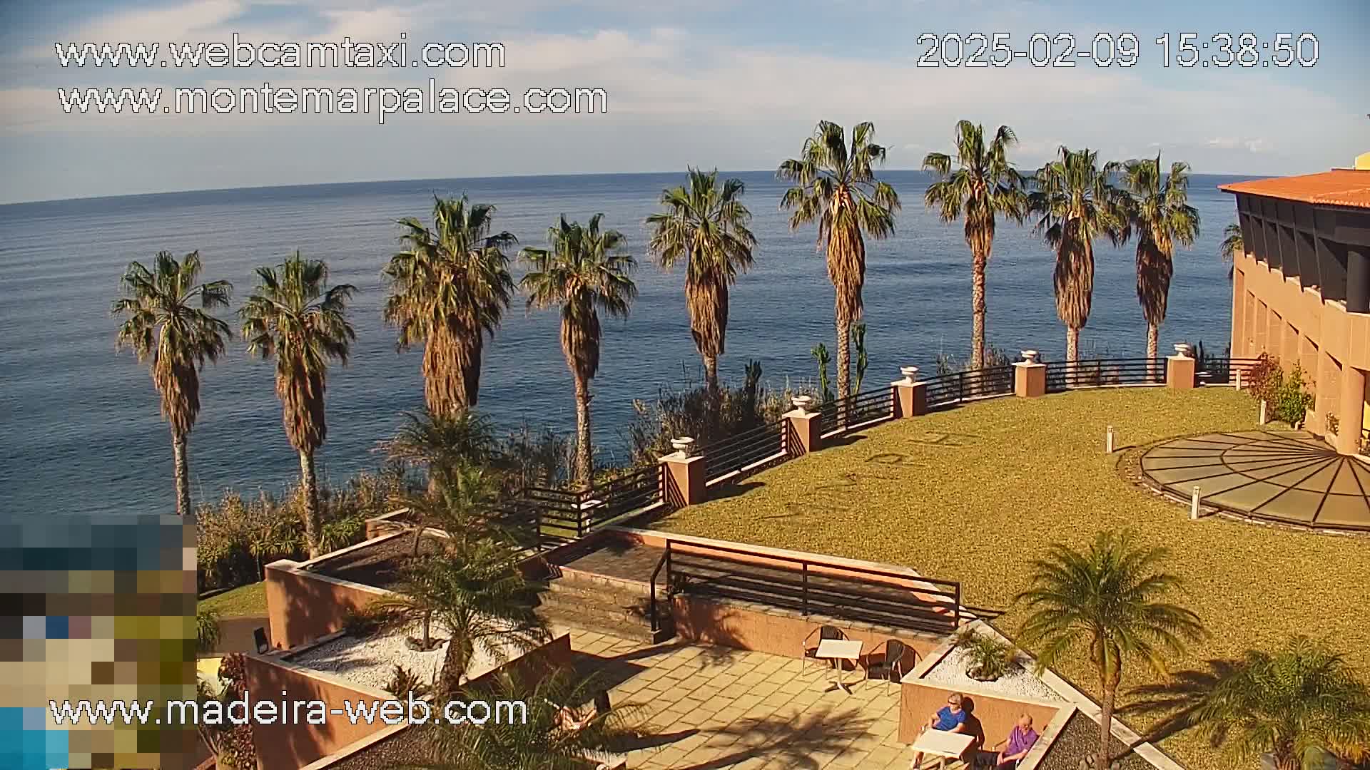 A sunny outdoor scene shows a patio area with palm trees overlooking a calm ocean, adjacent to a building.