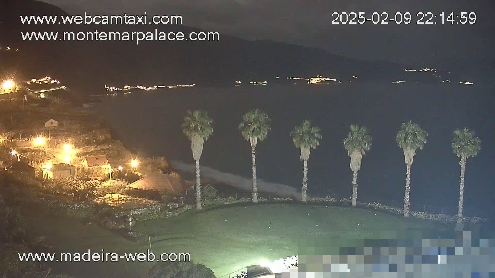 A nighttime view of a coastal area shows a dark body of water, a line of palm trees on a grassy area, and a village with lights illuminating buildings nestled on a hillside.