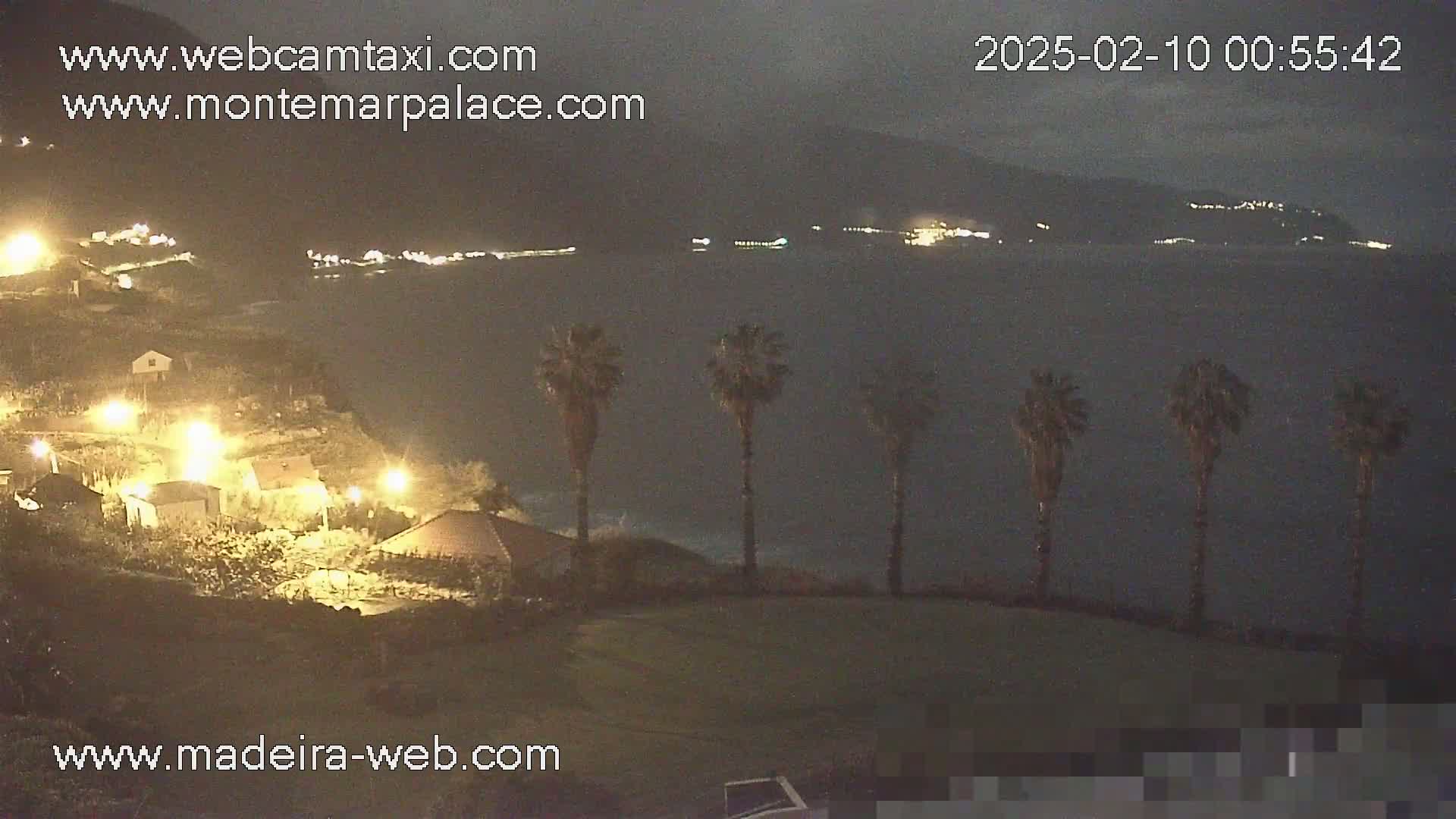 A nighttime view of a coastal town with several palm trees in the foreground, overlooking a dark body of water with distant lights on the opposite shore under a cloudy sky.