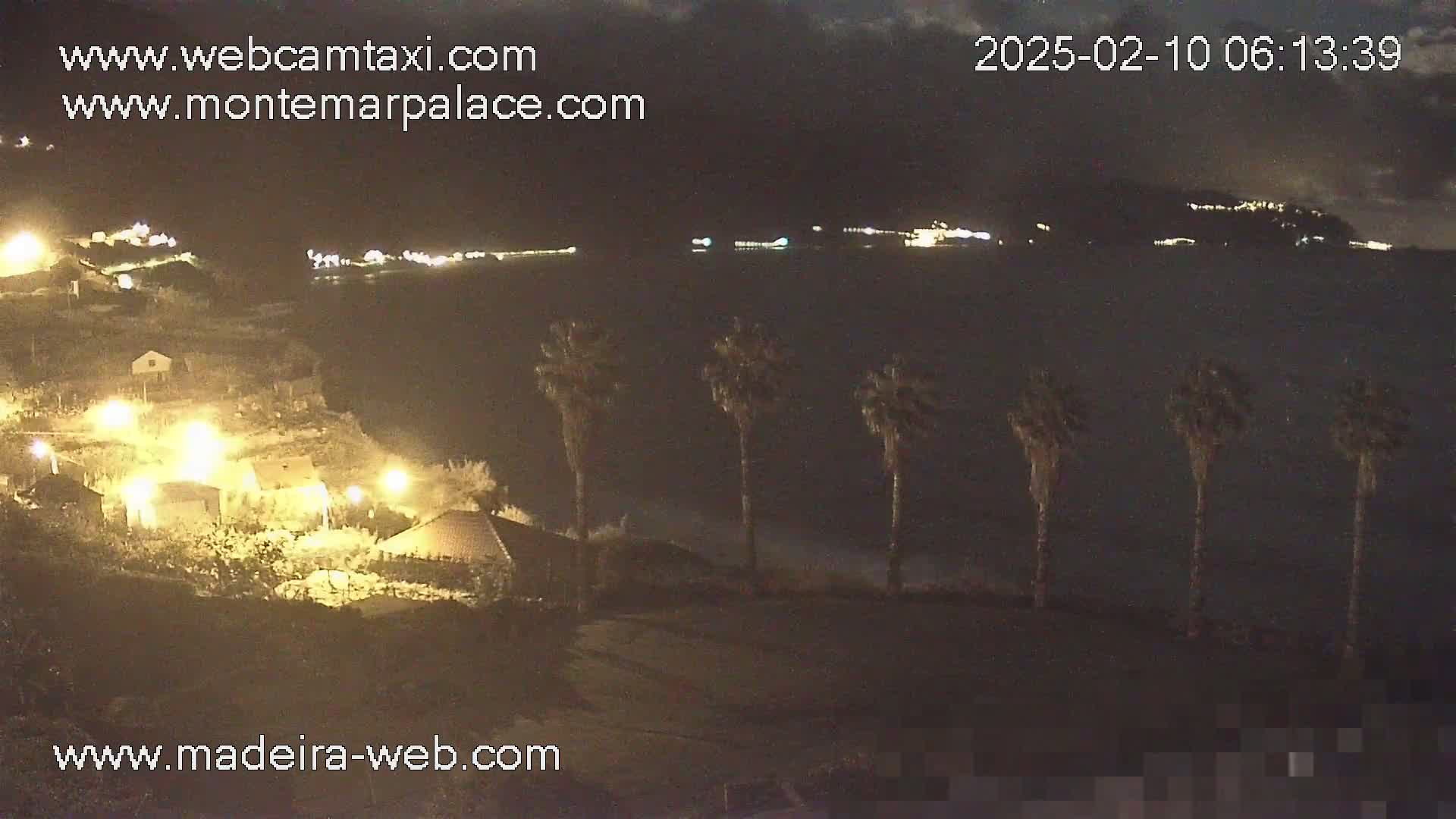 A nighttime coastal scene shows several palm trees near a collection of illuminated buildings overlooking dark water and a distant, faintly lit shoreline under a cloudy sky.