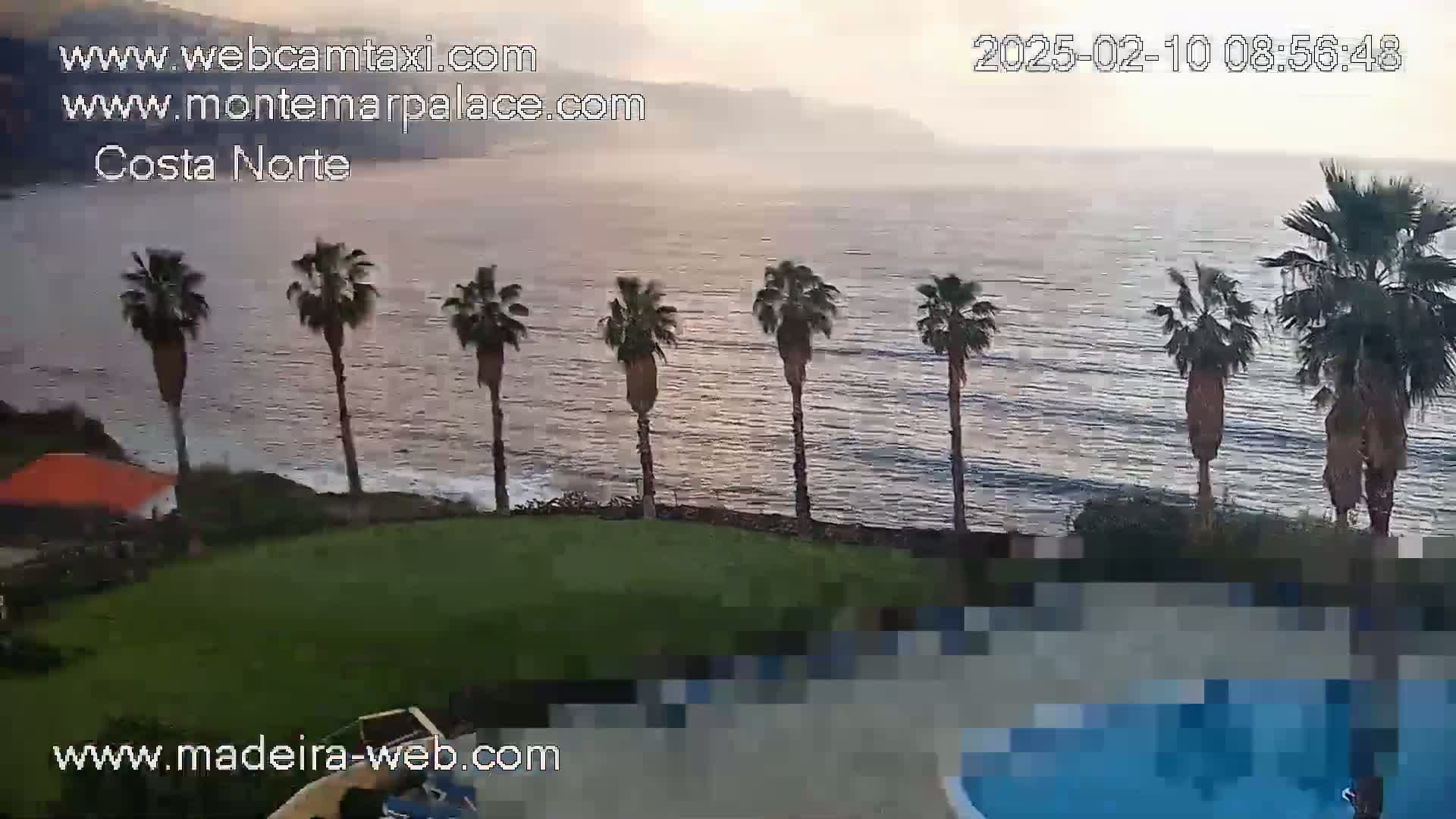 A calm ocean with a pinkish sunrise is visible from an elevated vantage point overlooking a grassy area with palm trees and a partially visible swimming pool.