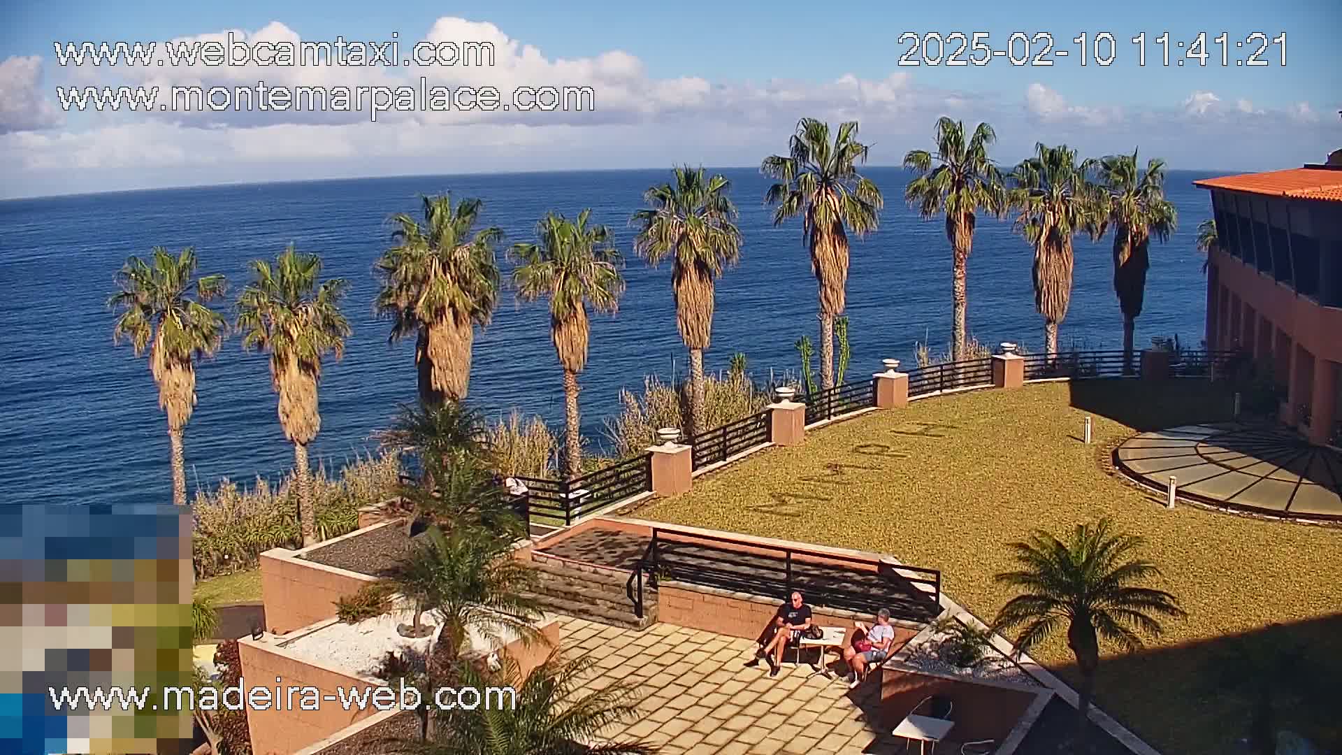 A sunny seaside patio with palm trees, overlooking a calm ocean, features two people sitting at a table.