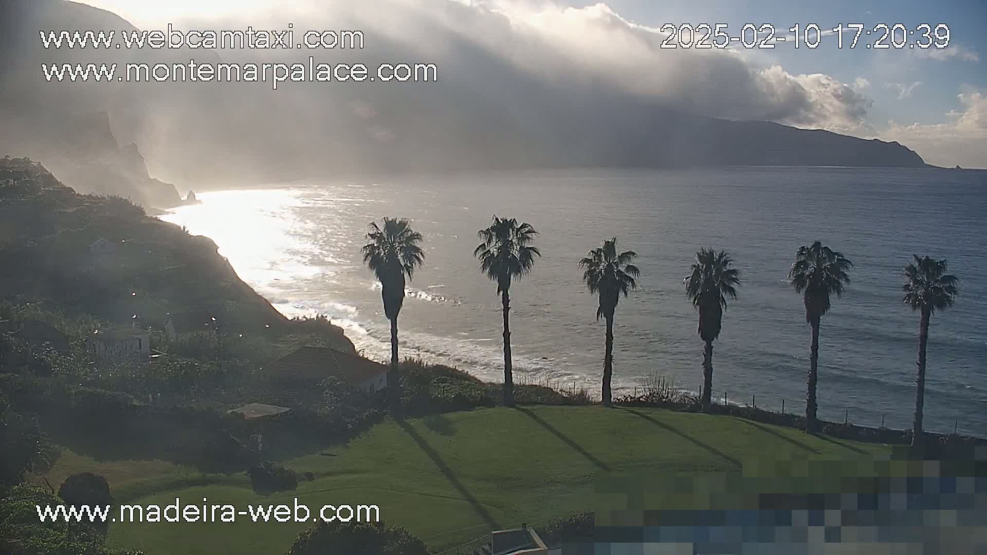 A cloudy but bright ocean view shows a rocky coastline with palm trees on a grassy area overlooking a calm sea.