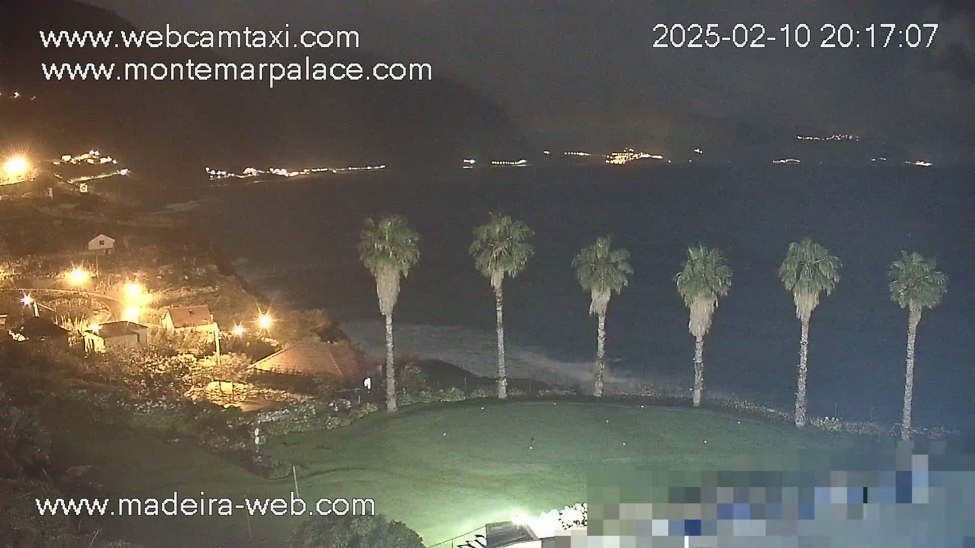 A nighttime view of a grassy area with five palm trees overlooking a dark body of water and a village with lights, under a dark sky.