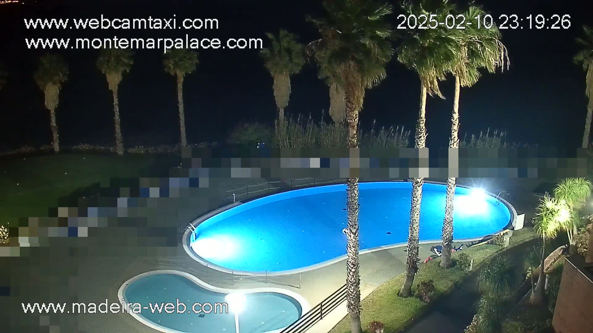 A brightly lit kidney-shaped swimming pool sits in a courtyard at night, surrounded by palm trees and landscaping.