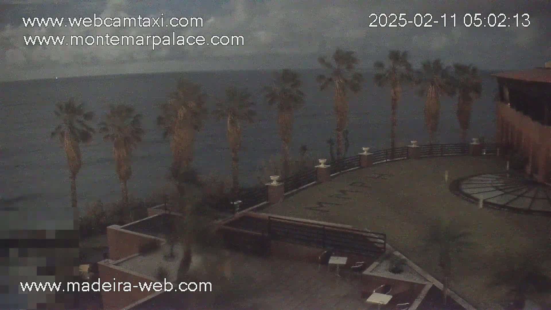 An overcast, nighttime view shows a patio area overlooking a dark ocean with palm trees lining the waterfront, next to a building.