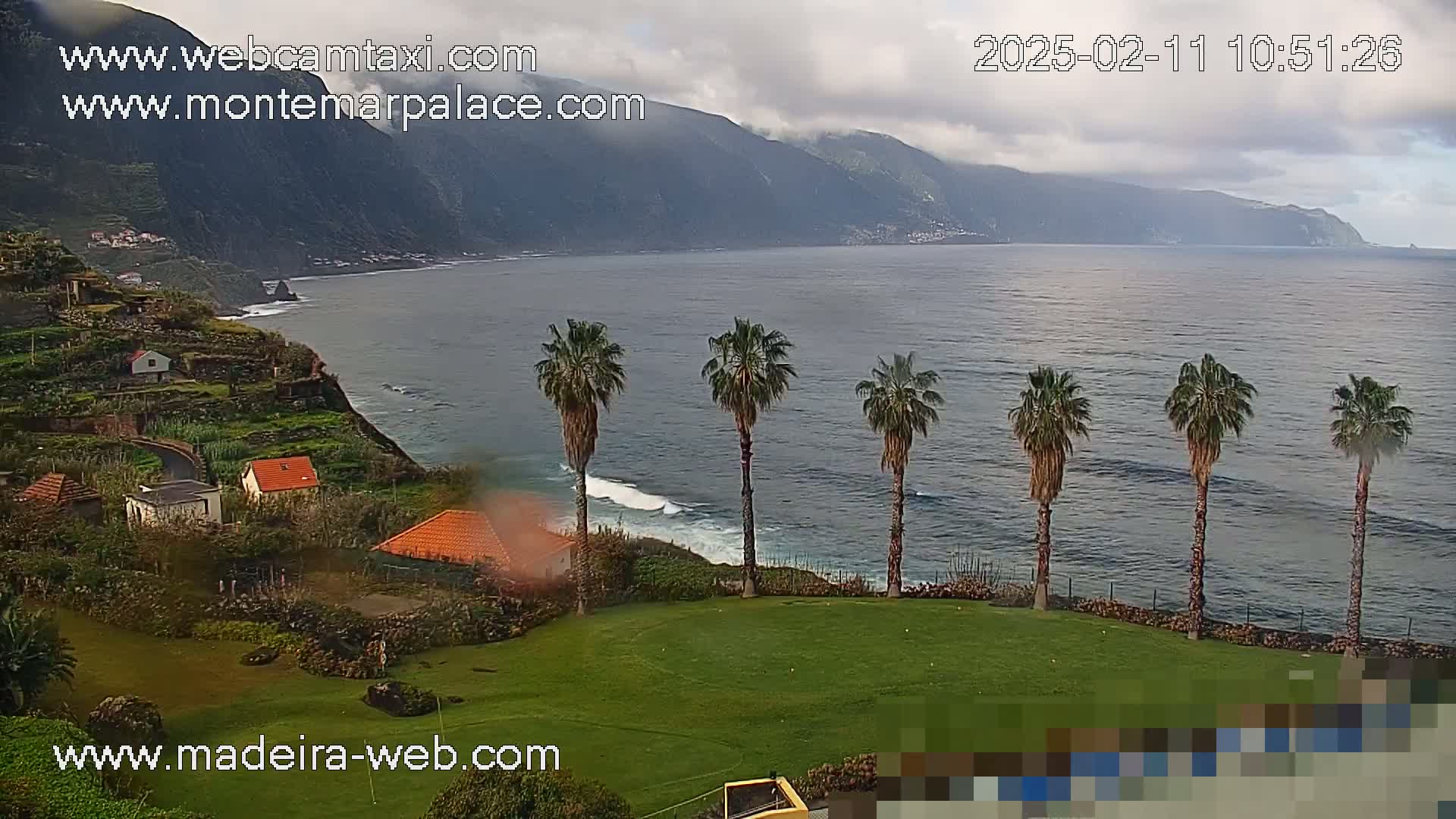 Overlooking a coastline with a calm ocean and a mountainous backdrop, several palm trees stand on a grassy area near houses nestled on a cliffside under an overcast sky.