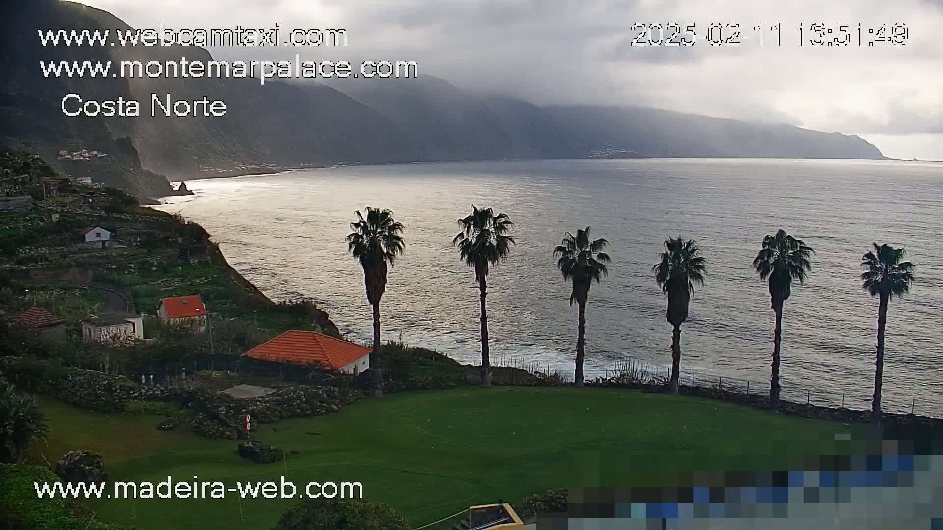A coastal scene under an overcast sky shows a calm ocean, a rocky cliff with houses, and several palm trees on a grassy area overlooking the water.