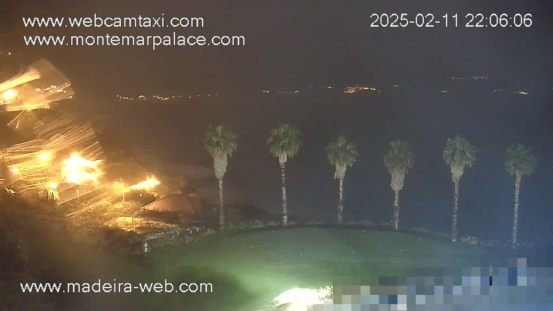 A nighttime scene shows rain falling over a grassy area with palm trees in front of a body of water, with lights visible on the opposite shore.
