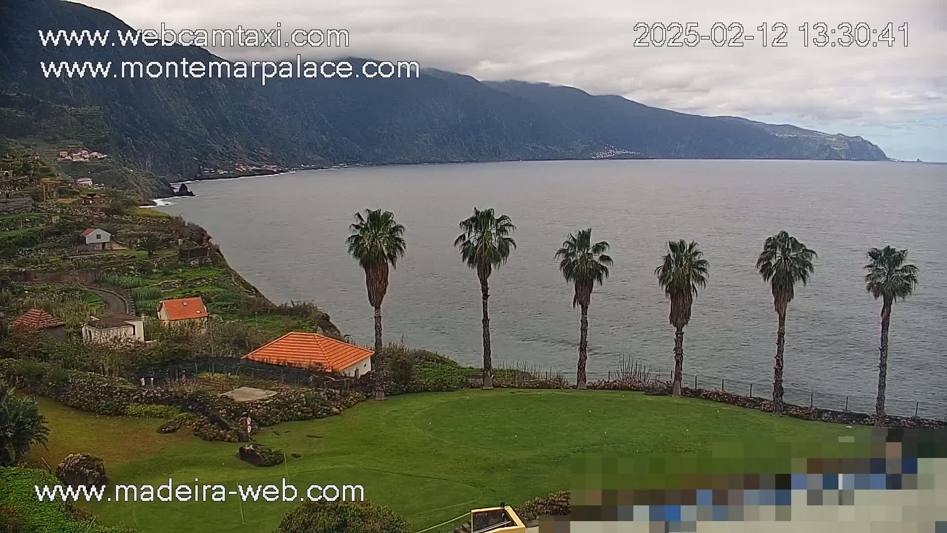 A coastal scene with overcast skies shows a grassy area with several palm trees overlooking a calm ocean and a mountainous coastline dotted with small buildings.