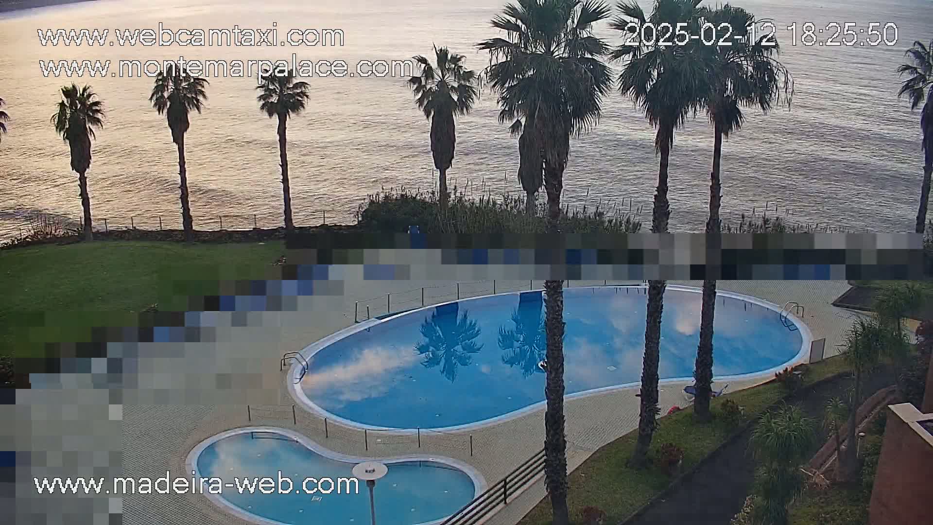 An outdoor kidney-shaped swimming pool and smaller adjacent pool are situated on a grassy area overlooking a calm ocean at sunset, surrounded by palm trees.