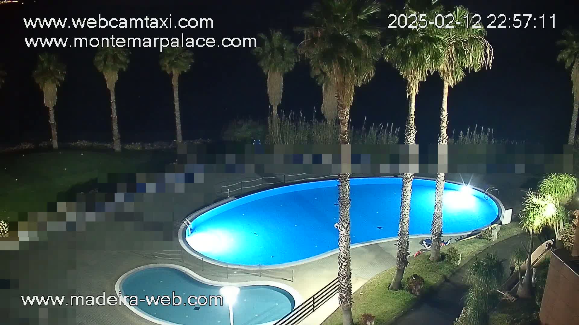 An illuminated kidney-shaped swimming pool and a smaller adjacent pool are surrounded by palm trees at night.
