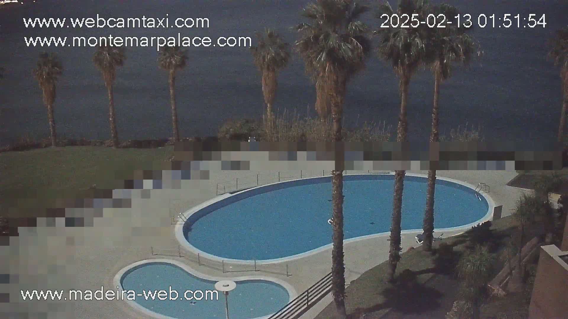 An overhead view shows a kidney-shaped swimming pool and a smaller adjacent pool surrounded by palm trees and a body of dark water in the background under a clear sky.