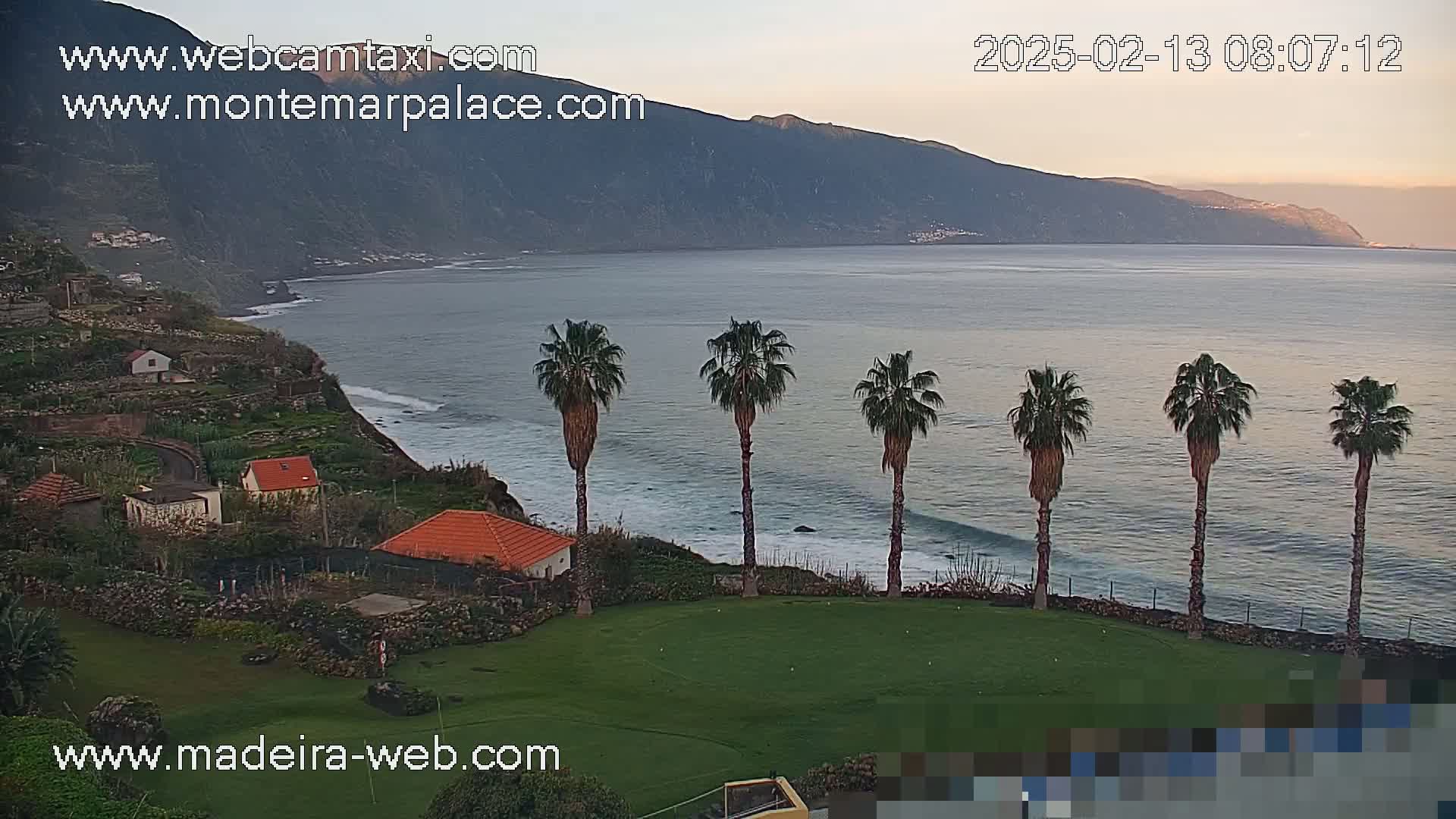 A tranquil ocean scene at dawn shows a calm sea lapping against a rocky shore, where several palm trees stand on a grassy area overlooking houses nestled into a hillside.