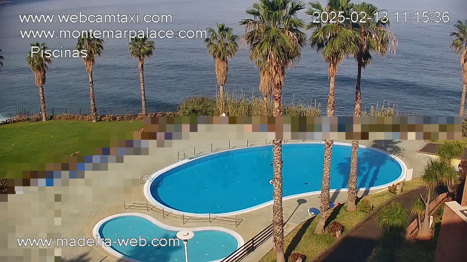 An aerial view shows a kidney-shaped swimming pool and a smaller adjacent pool surrounded by palm trees and grass, overlooking a calm ocean on a sunny day.