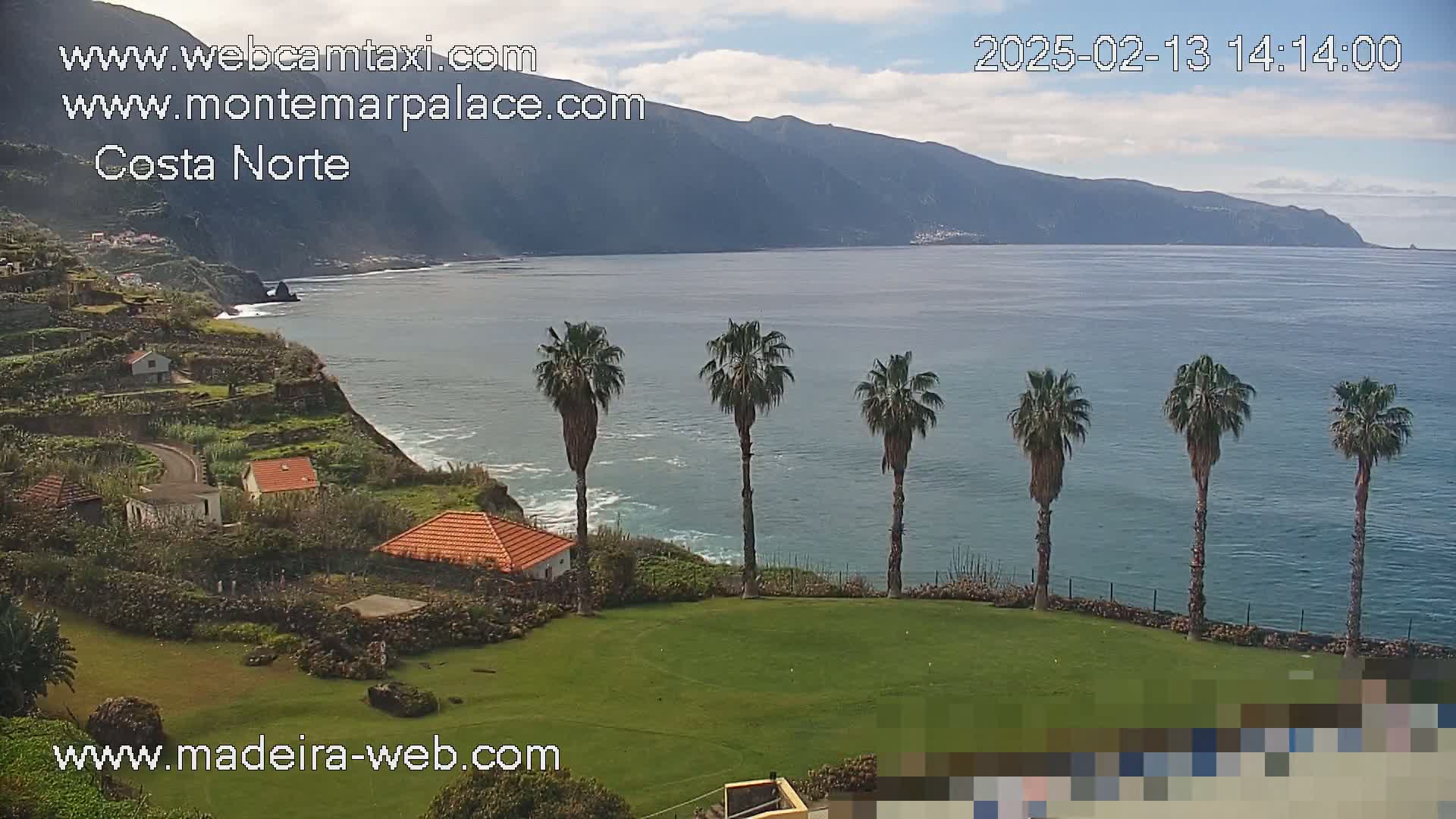 A coastal scene on a partly cloudy day shows a tranquil ocean with a mountainous backdrop, several palm trees, and terraced houses on a green cliffside.