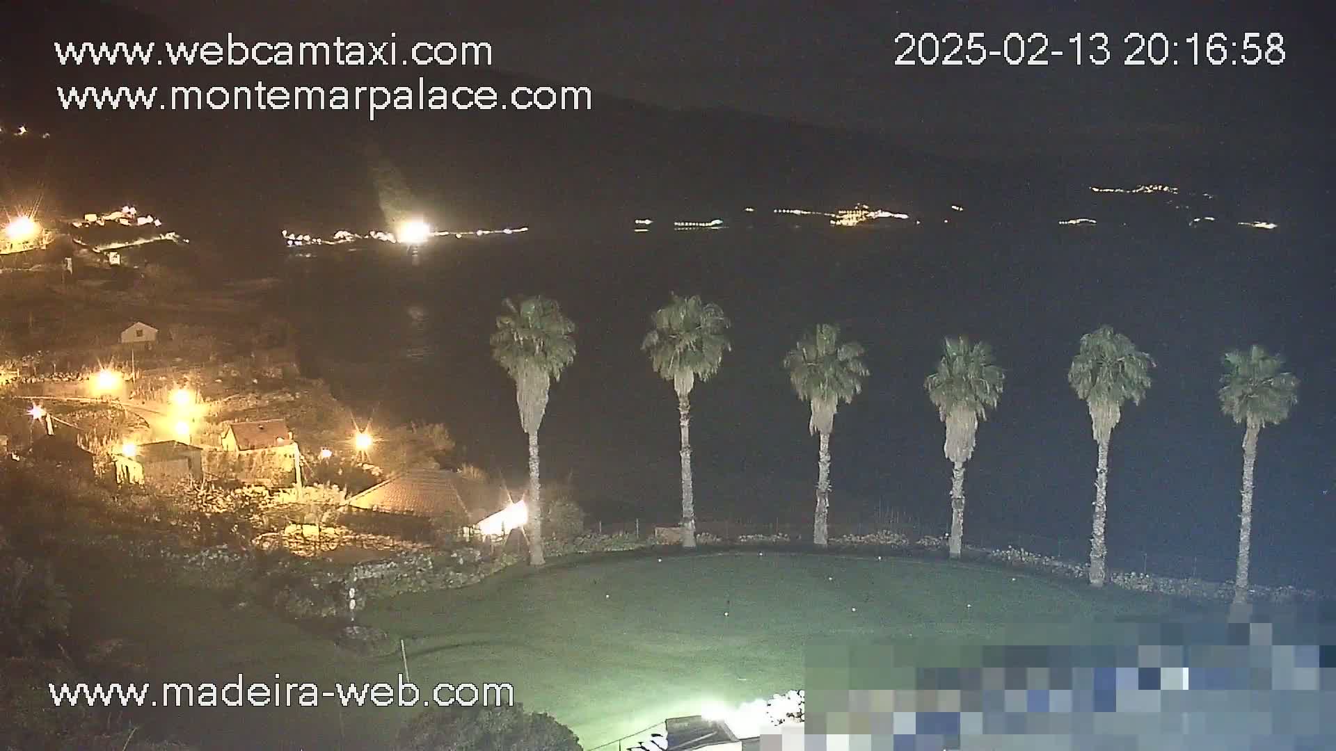 A nighttime view of a grassy area with several palm trees, overlooking a dark body of water with distant lights and a village illuminated with streetlights.