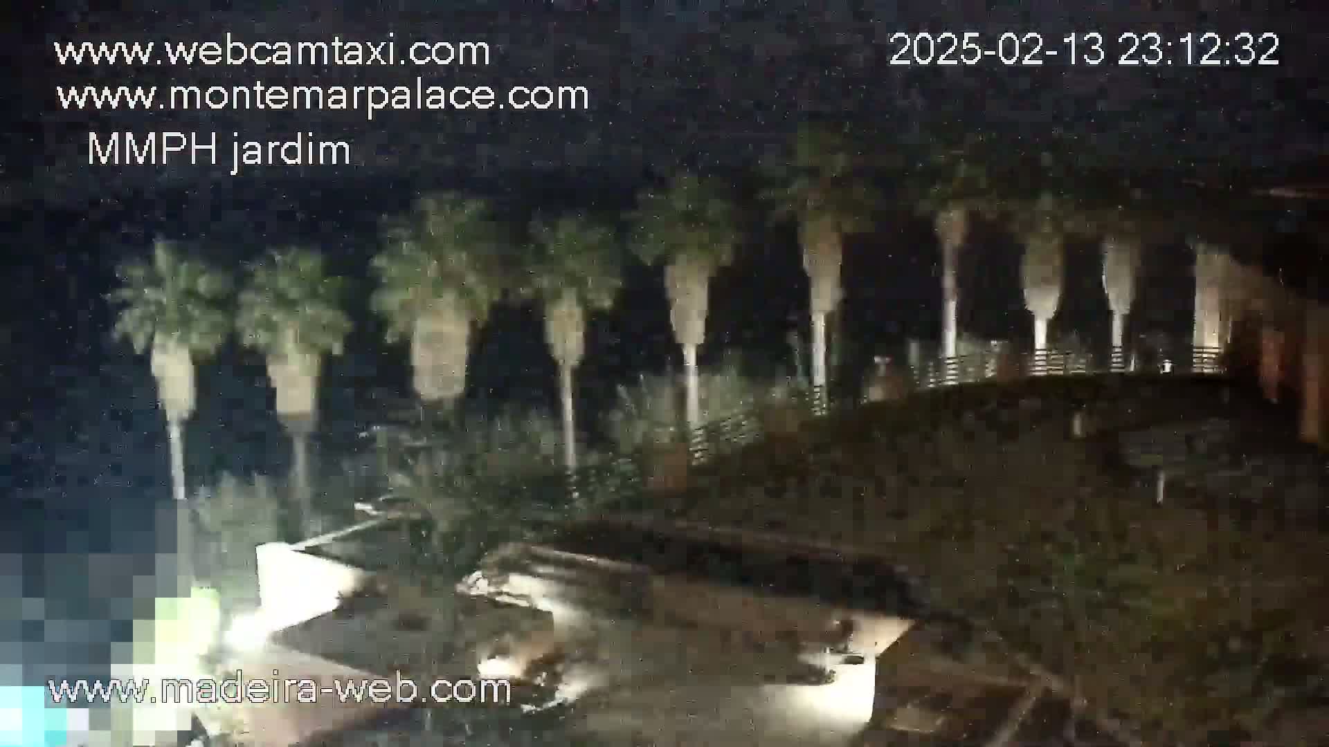 A nighttime view shows several palm trees behind a low wall, with a dark structure below.