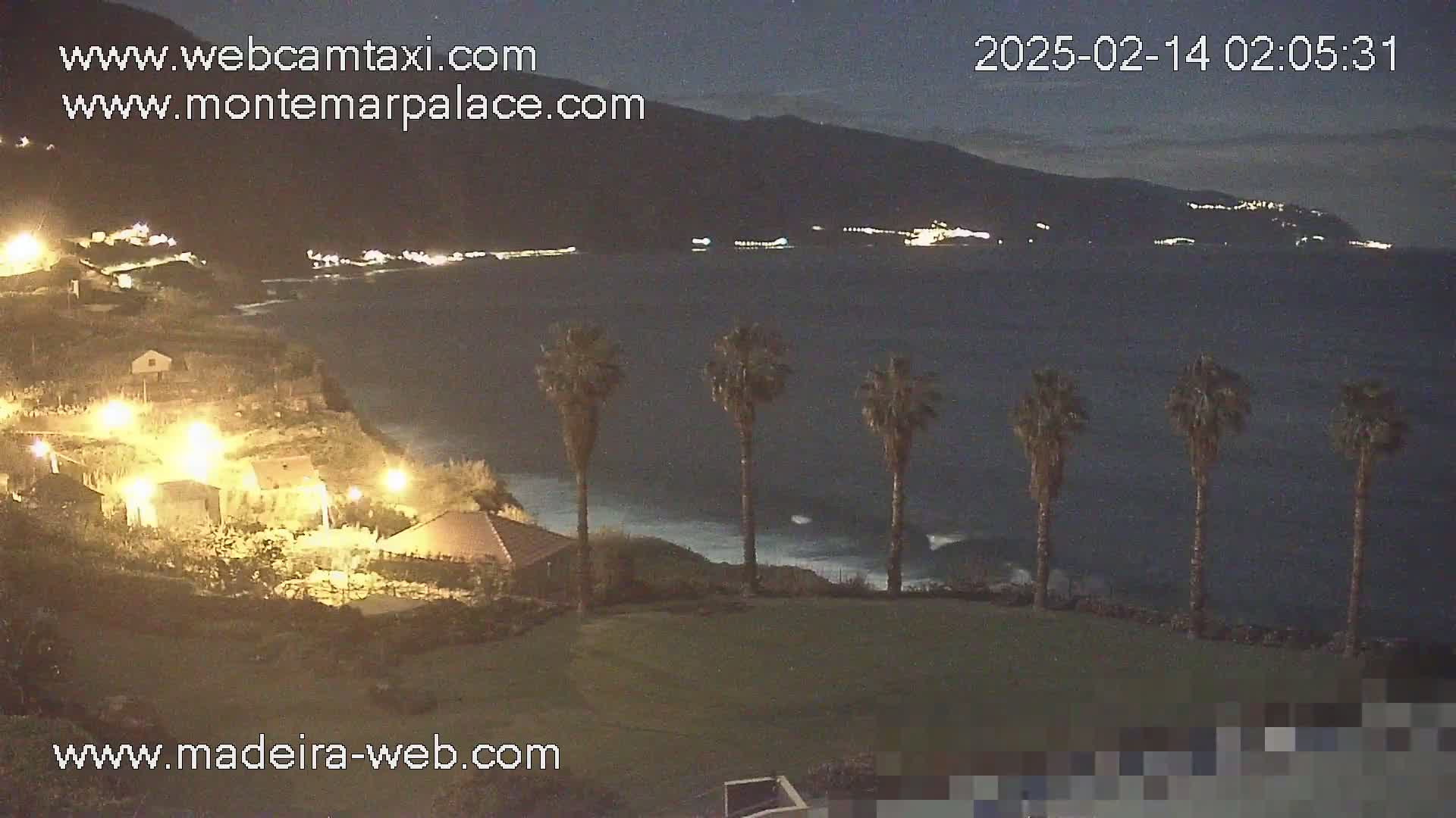 A nighttime coastal scene shows a dark ocean with small waves, illuminated buildings on a hillside, and several palm trees in the foreground under a clear, dark sky.