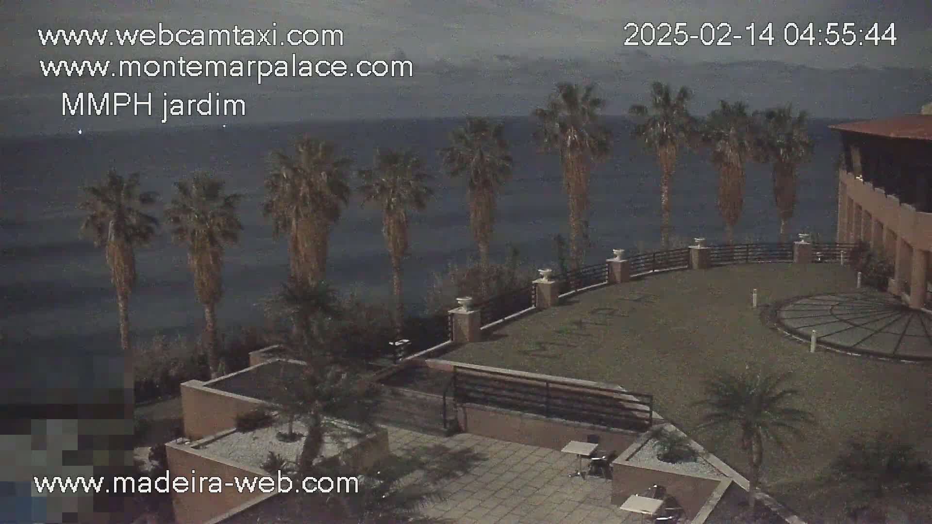 An outdoor scene at twilight shows a patio area with palm trees overlooking a dark ocean, and a building is visible in the background.