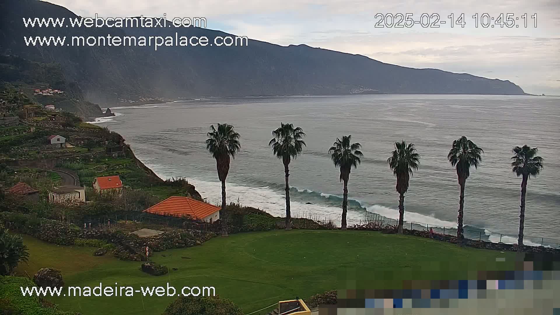 A coastal scene under an overcast sky shows a calm ocean with small waves lapping a rocky shore, several palm trees, and several small houses nestled into a hillside.