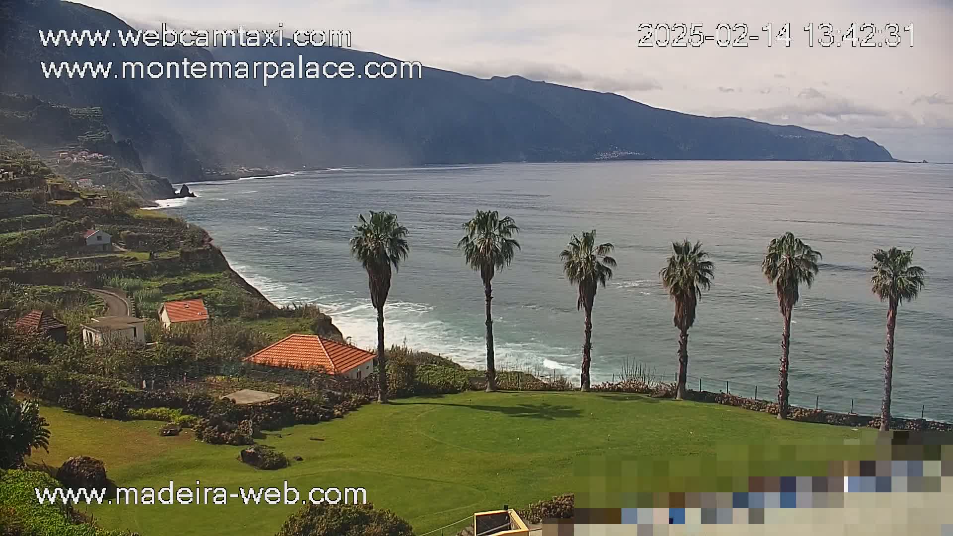 A coastal scene on a partly cloudy day shows a green lawn with several palm trees overlooking a rocky coastline and ocean with small waves; houses are visible on the hillside.