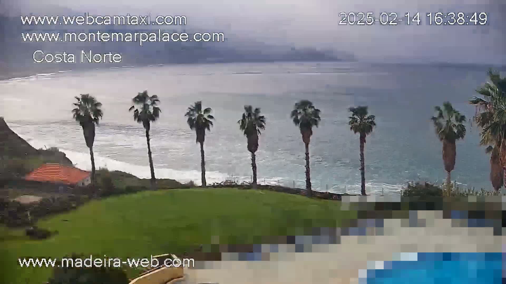 A coastal scene shows a grassy area with palm trees overlooking a somewhat overcast ocean with waves breaking on the shore.