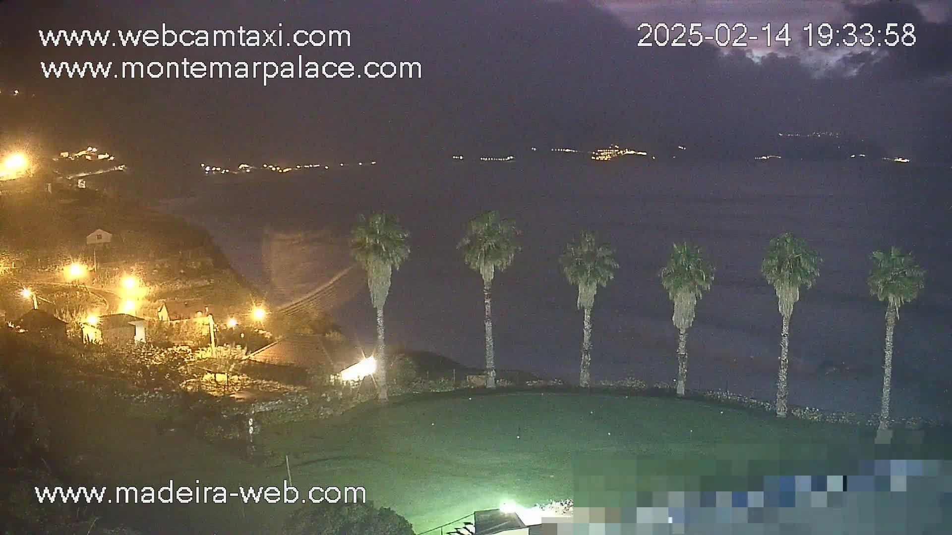 A nighttime coastal scene shows a dark ocean, illuminated buildings on a cliffside, several palm trees on a grassy area, and distant lights across the water under a mostly clear, dark sky.