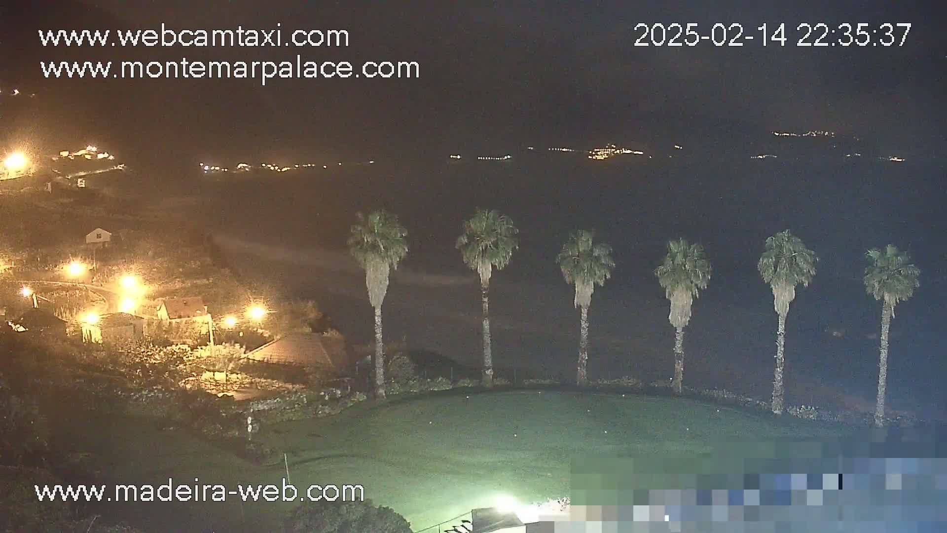 A nighttime view of a grassy area with several palm trees, illuminated buildings in the distance, and a dark ocean beyond.