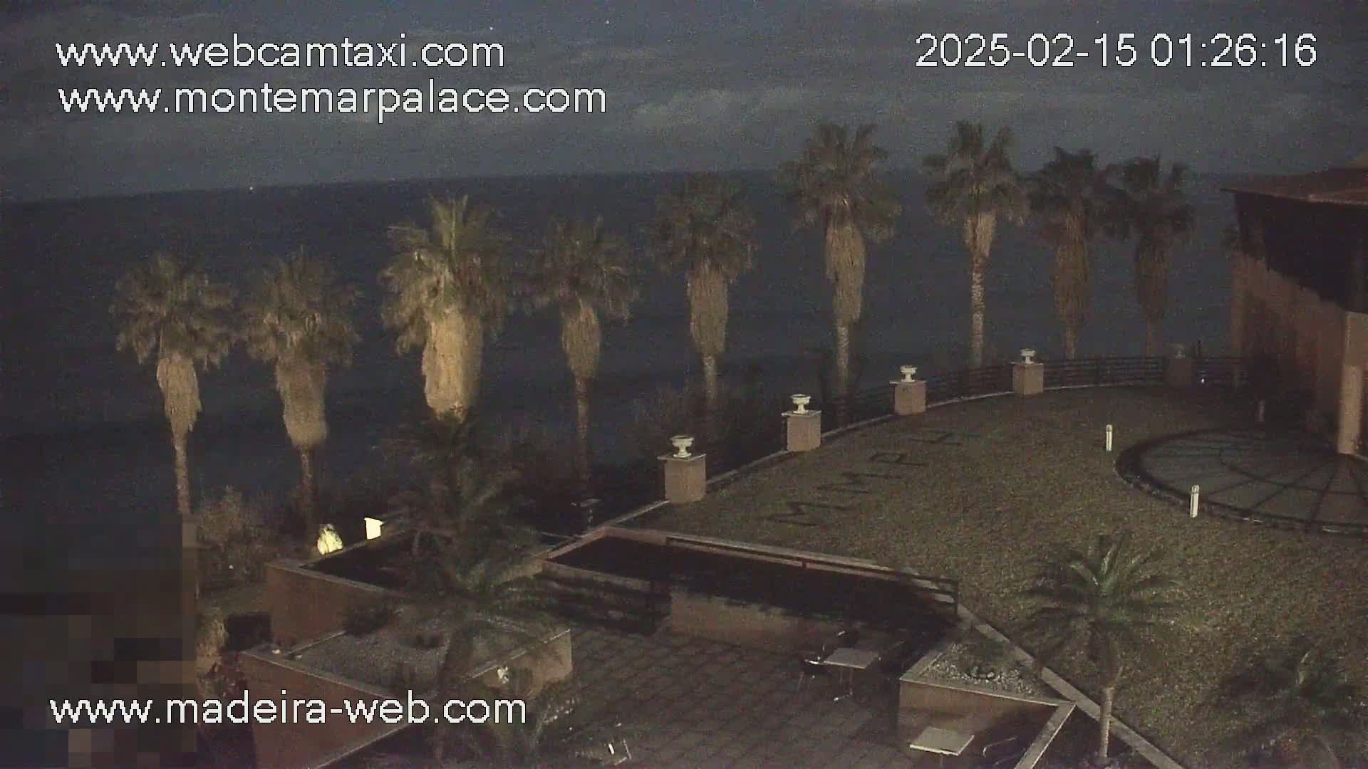 A nighttime view of a resort area overlooking a dark ocean, with palm trees lining a patio and a building partially visible.