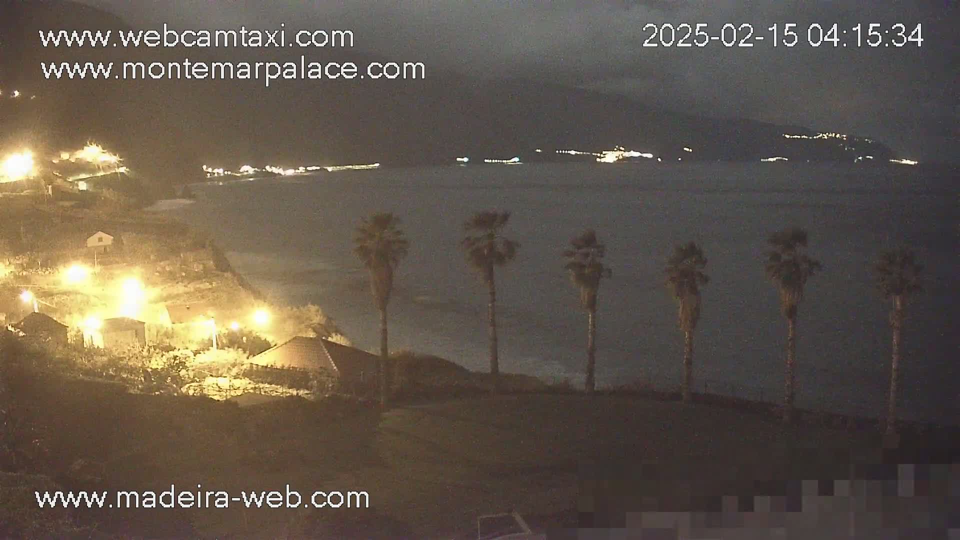 A nighttime coastal scene shows a dark body of water with lights on the opposite shore, several palm trees silhouetted against the water, and illuminated buildings on a hillside in the foreground.