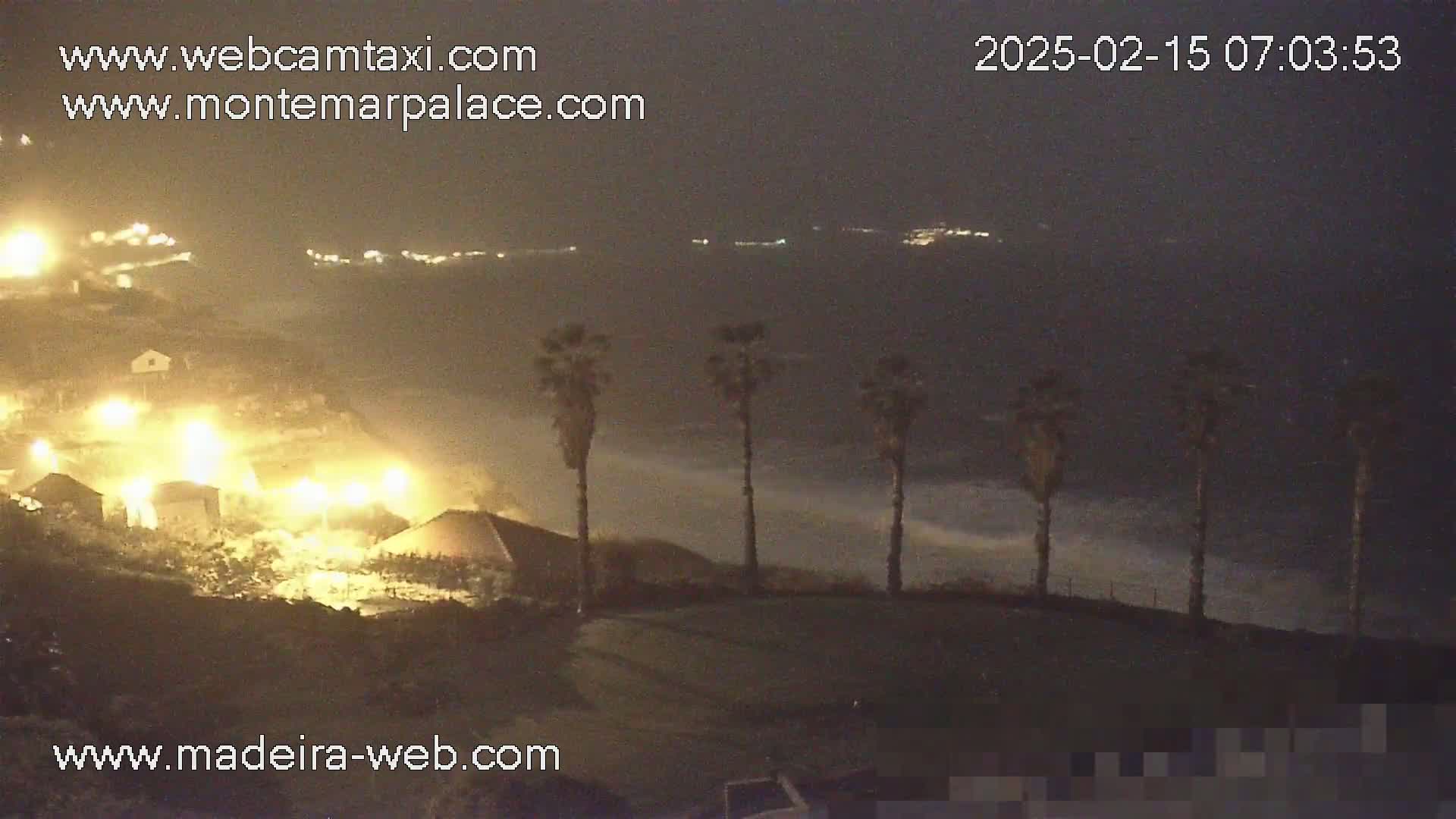A nighttime coastal scene shows a dark ocean with waves, several palm trees silhouetted against the water, and brightly lit buildings on a hillside.