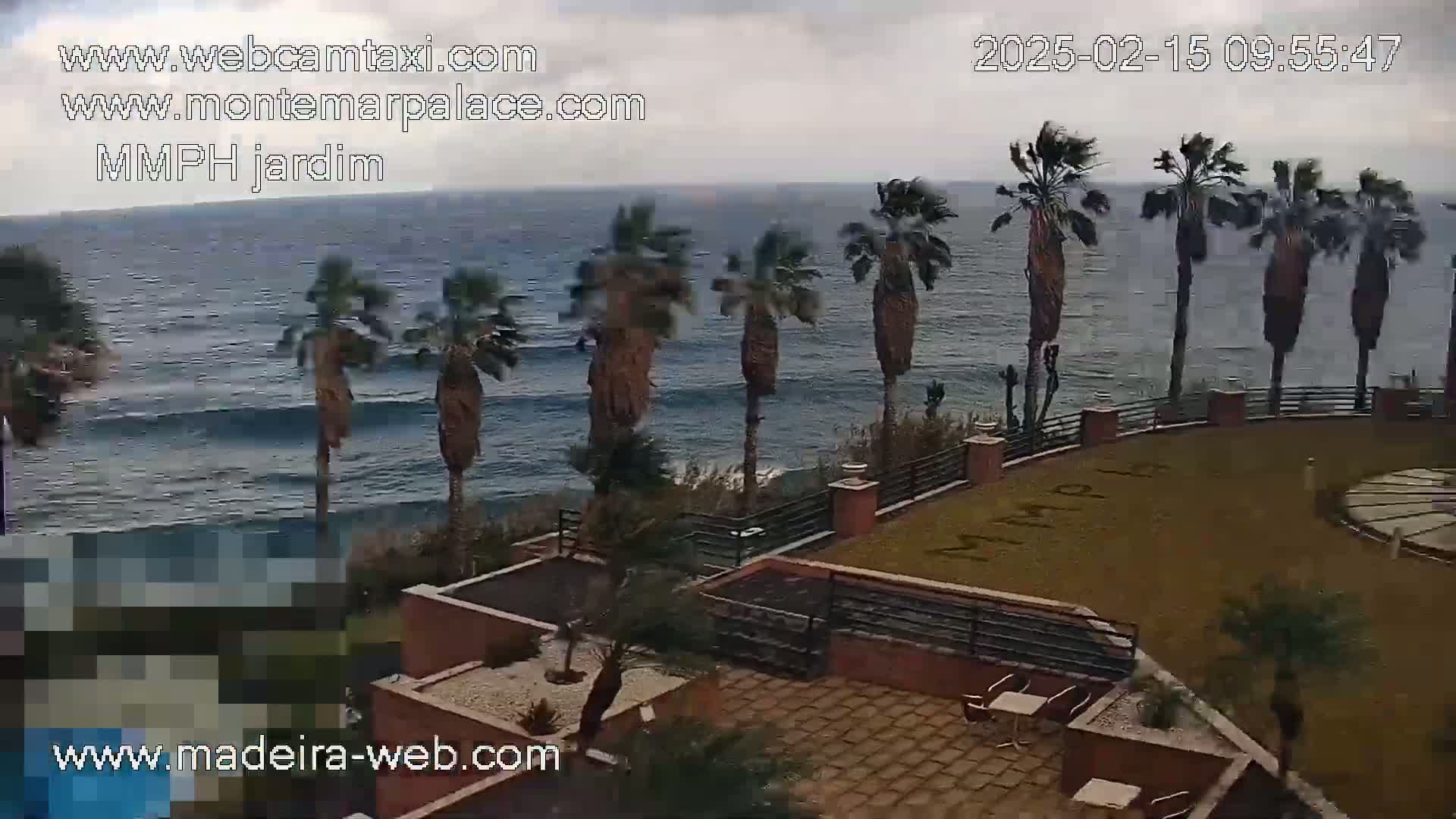 A windy, overcast day shows palm trees lining a cliff overlooking a wavy ocean; below, a patio area with furniture is visible.