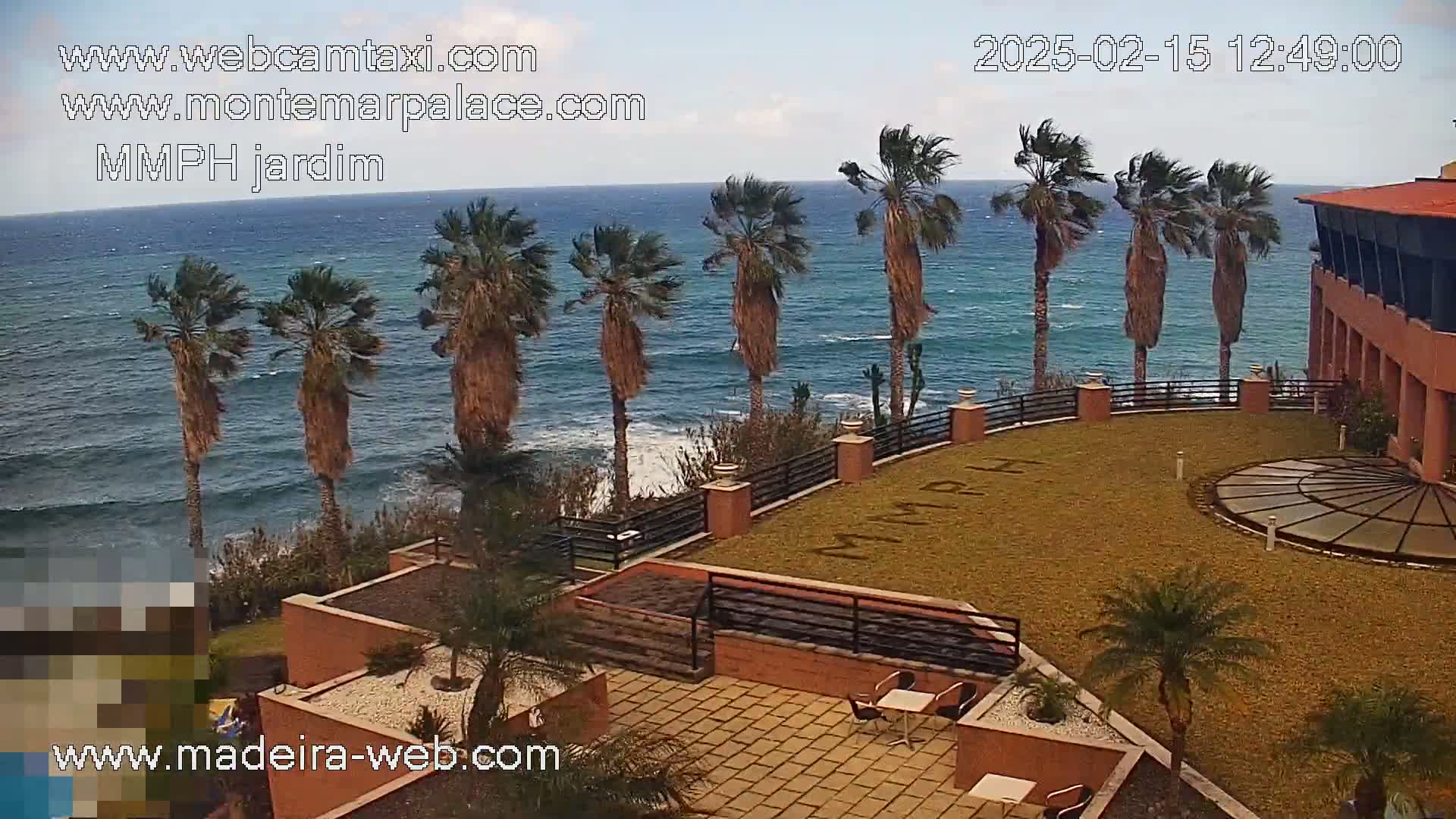 A windy day overlooking a wavy ocean from a patio with palm trees, a building, and a paved area.