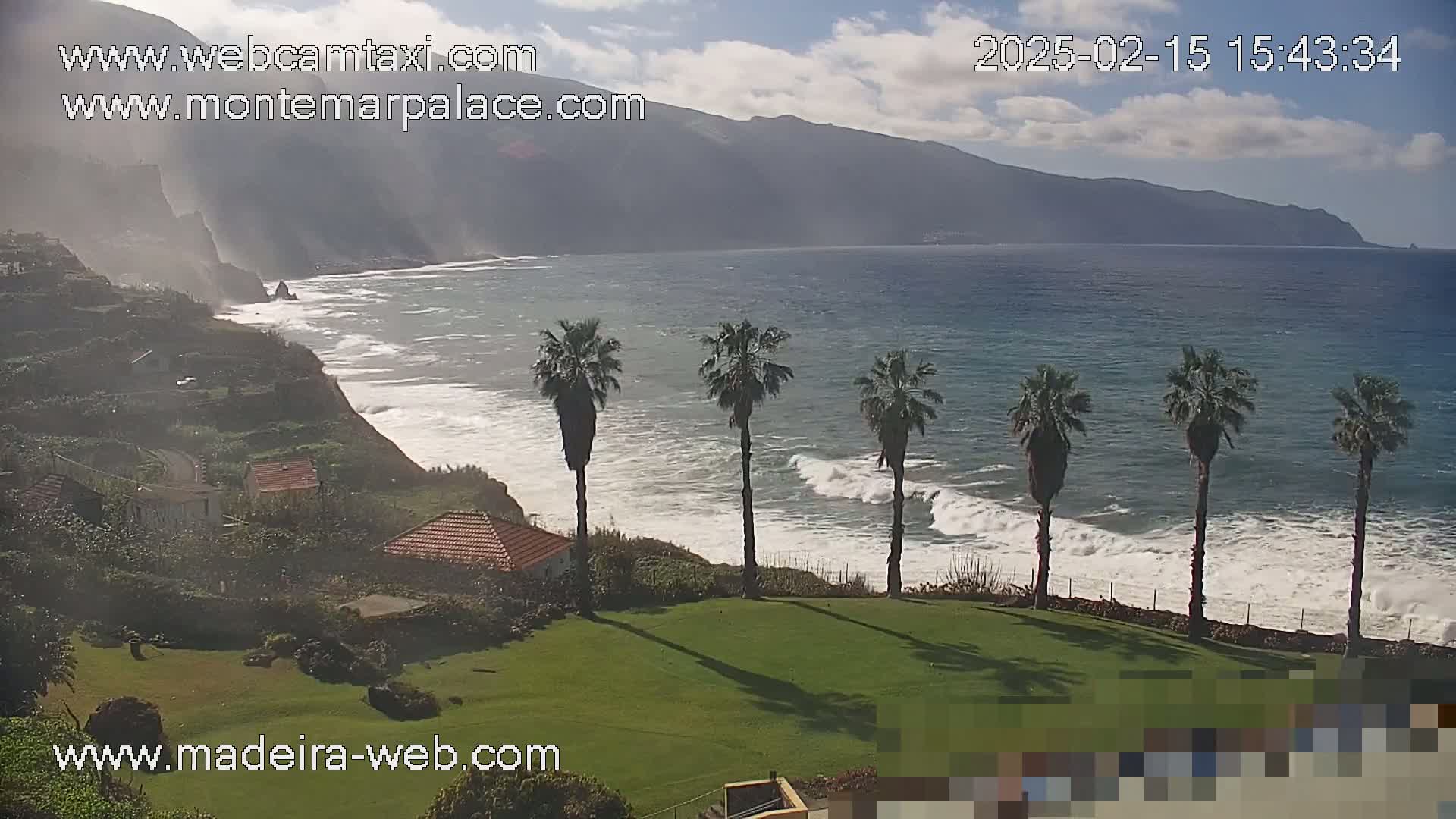 A partly cloudy day reveals a coastal scene with a calm ocean, several palm trees on a grassy area overlooking the water, and a village nestled into the hillside.